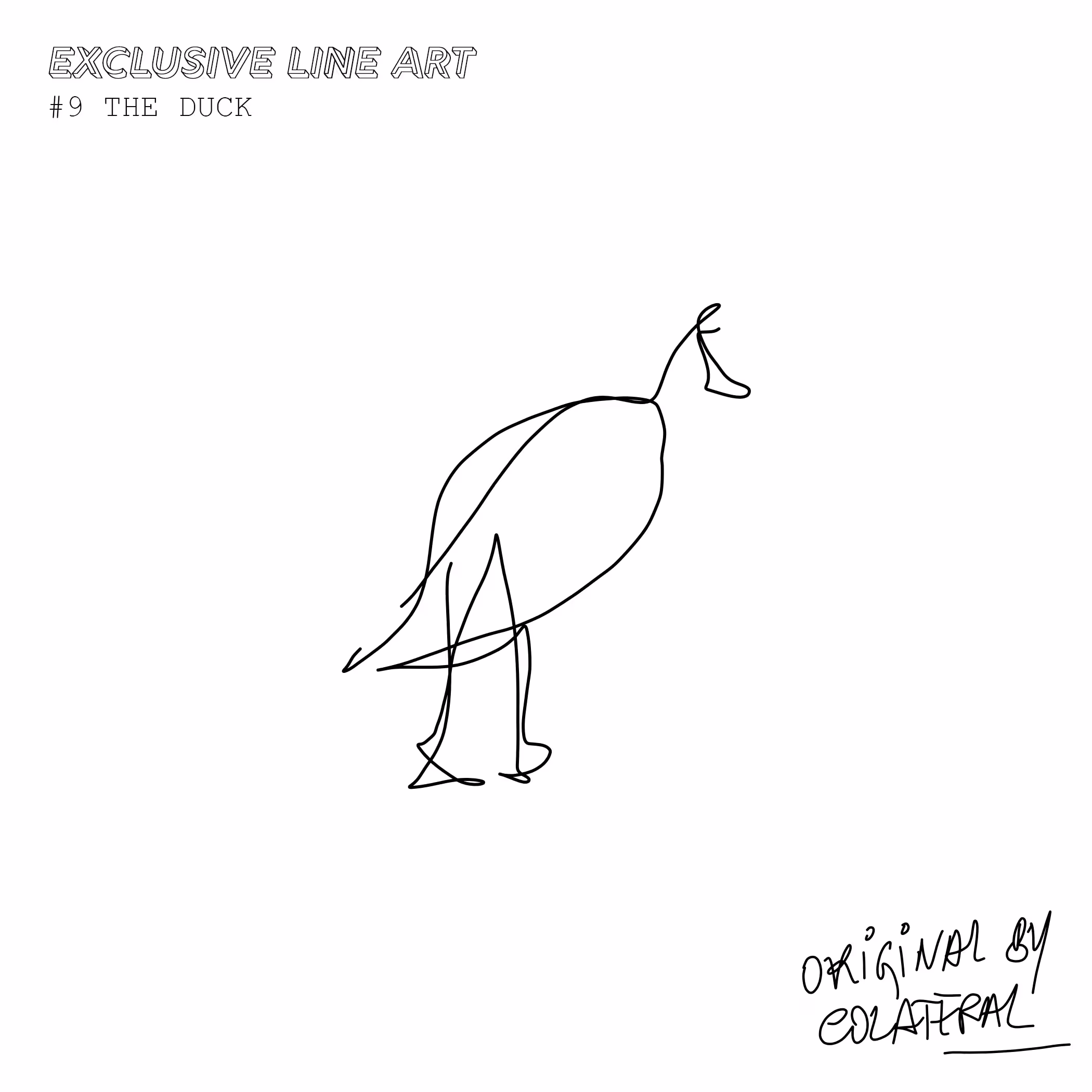 #9 THE DUCK