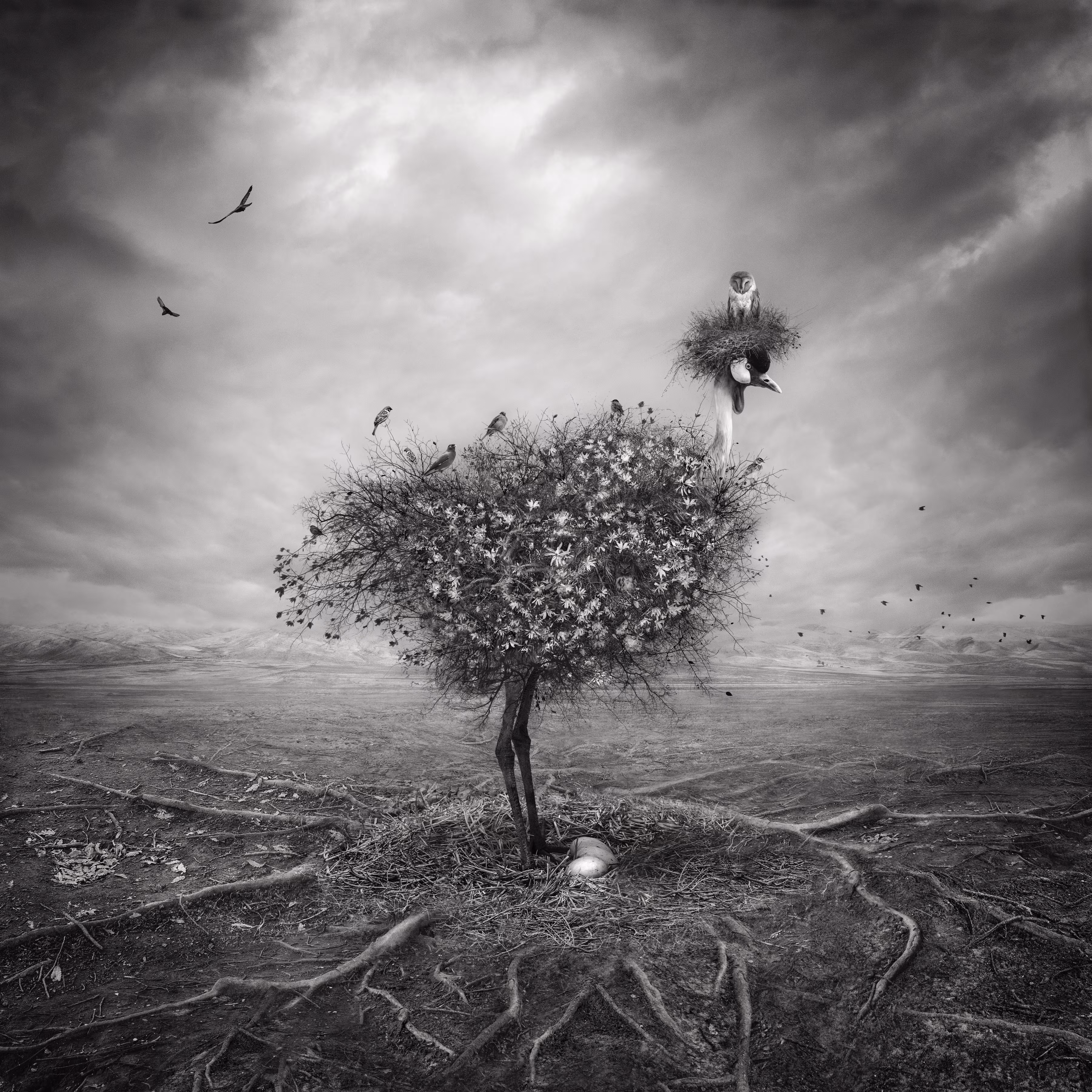 Natura