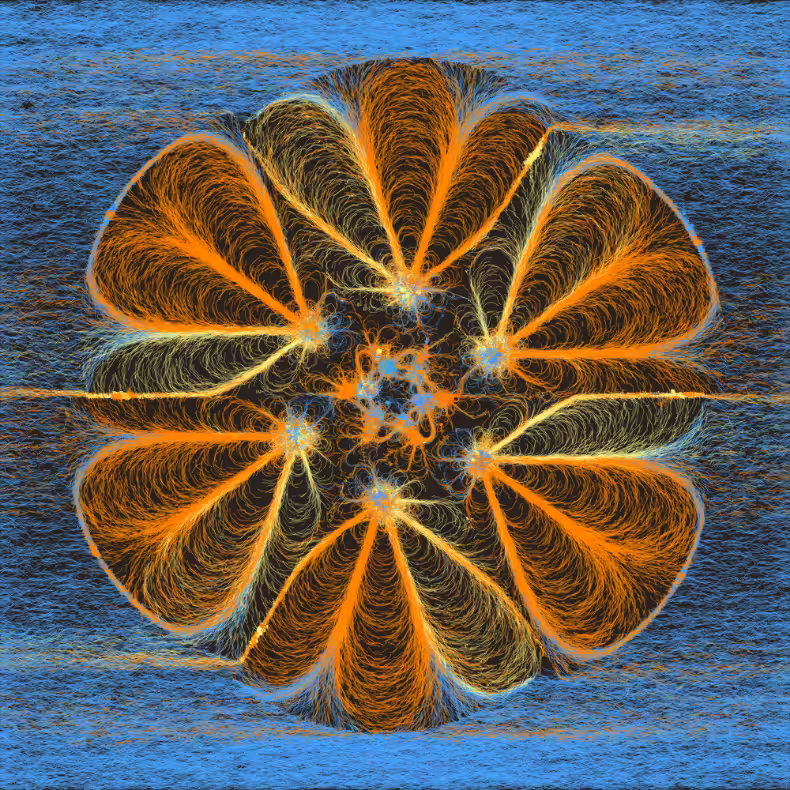 Field Sketch #125