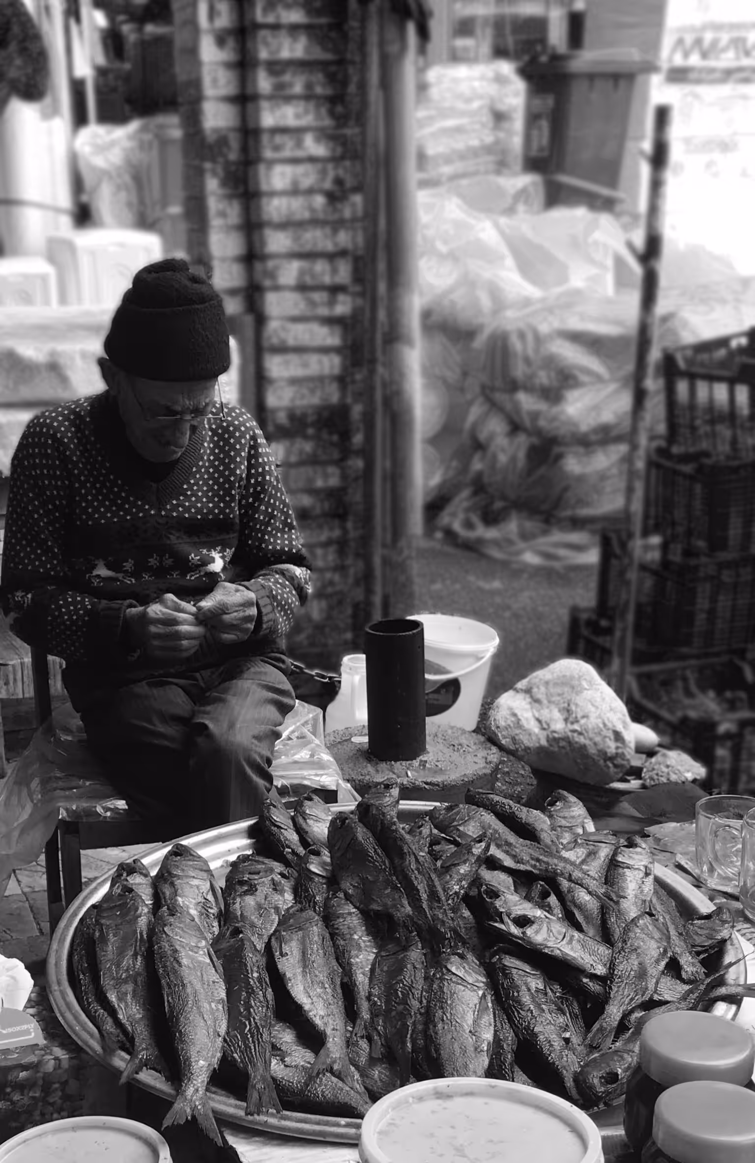 The old man & the fish