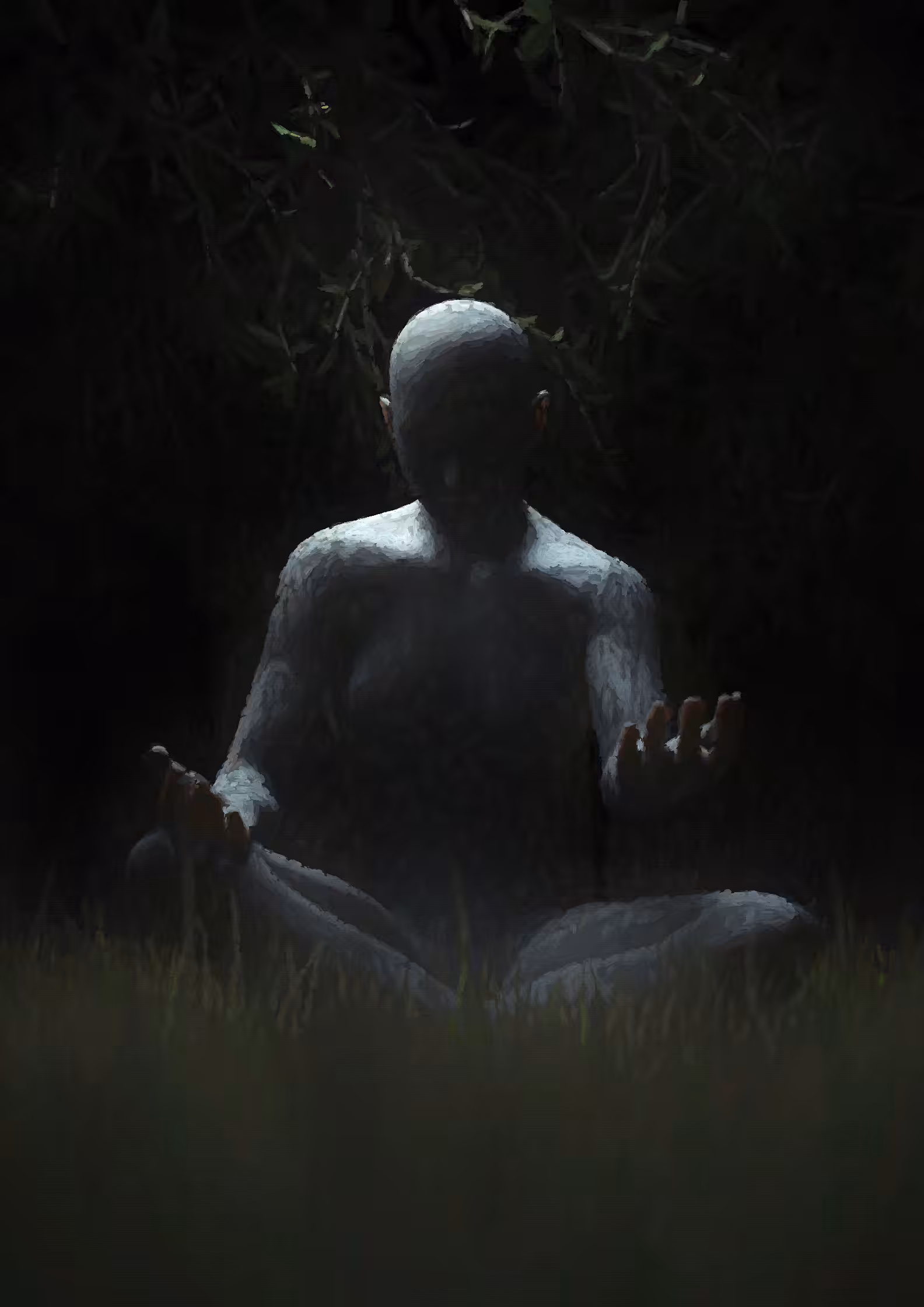 Forest Meditation - single frame