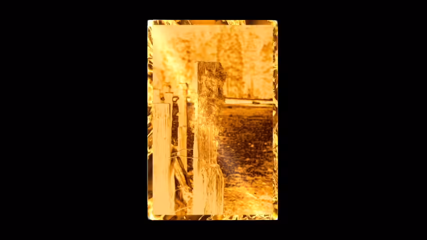 THE COLD COAST 06 (GOLD FOIL EDITION #1): "FOREST MOSS"