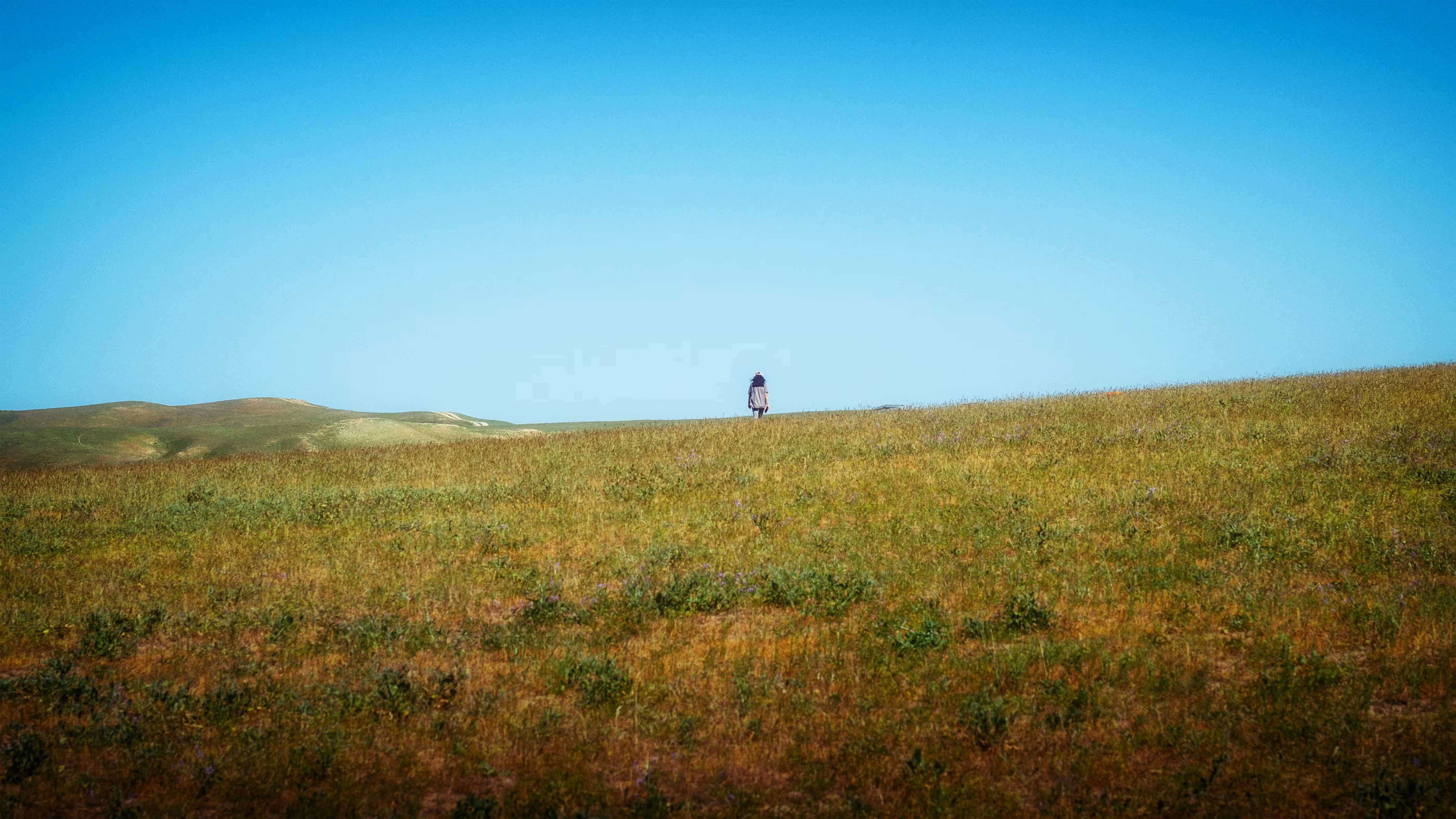 Lone Summer