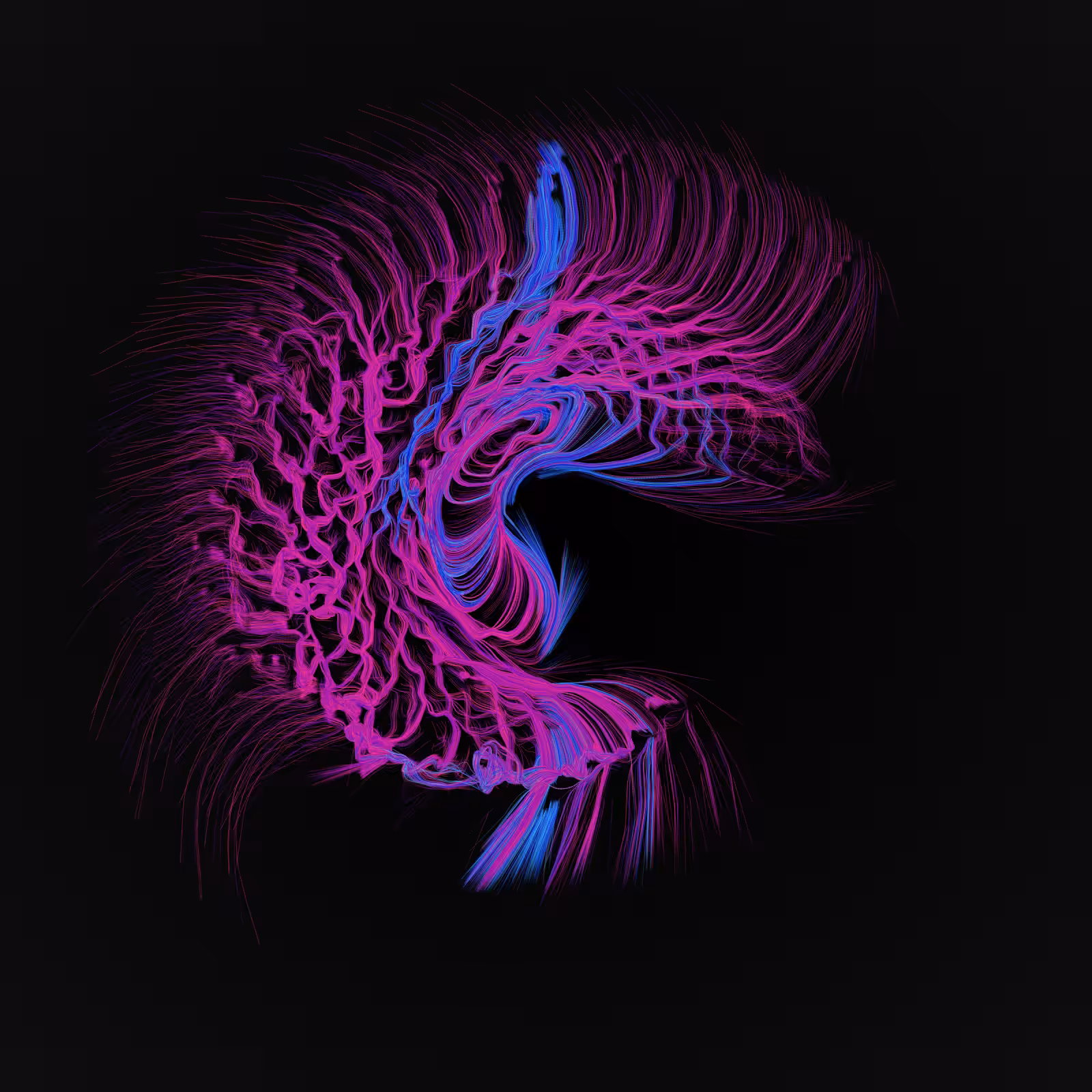 Dendrites #490