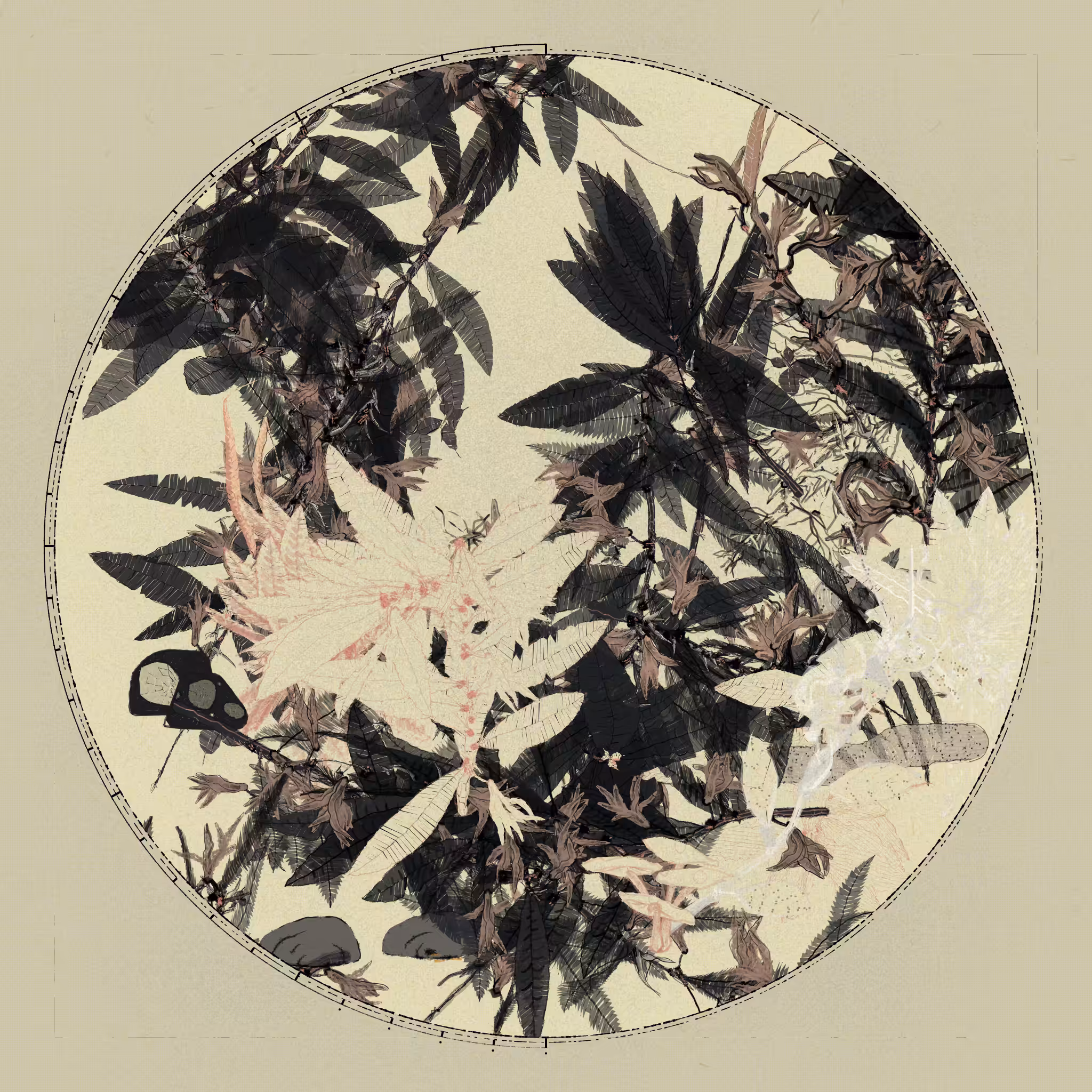Polypaths | 植徑集 #758