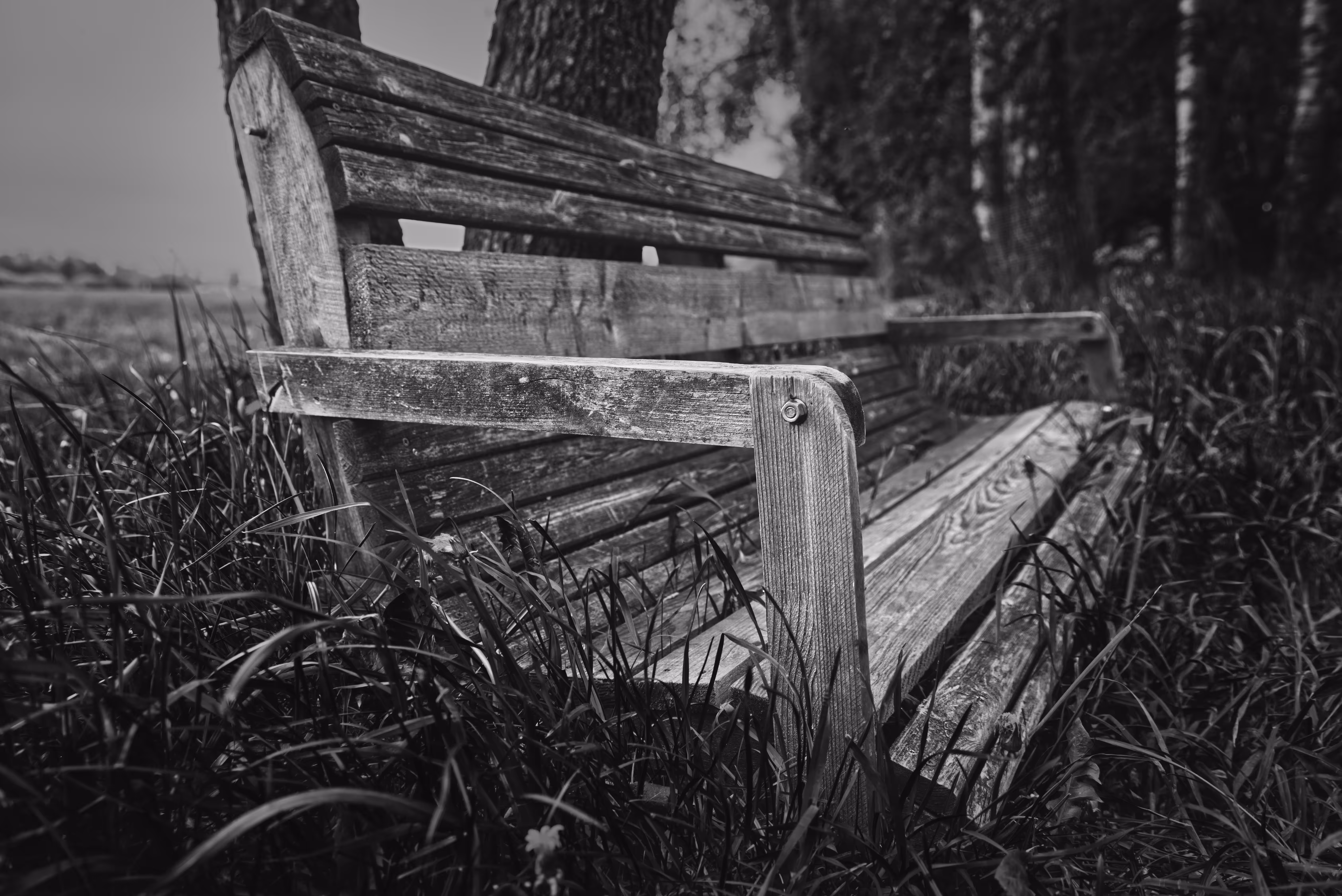 Lonely Bench