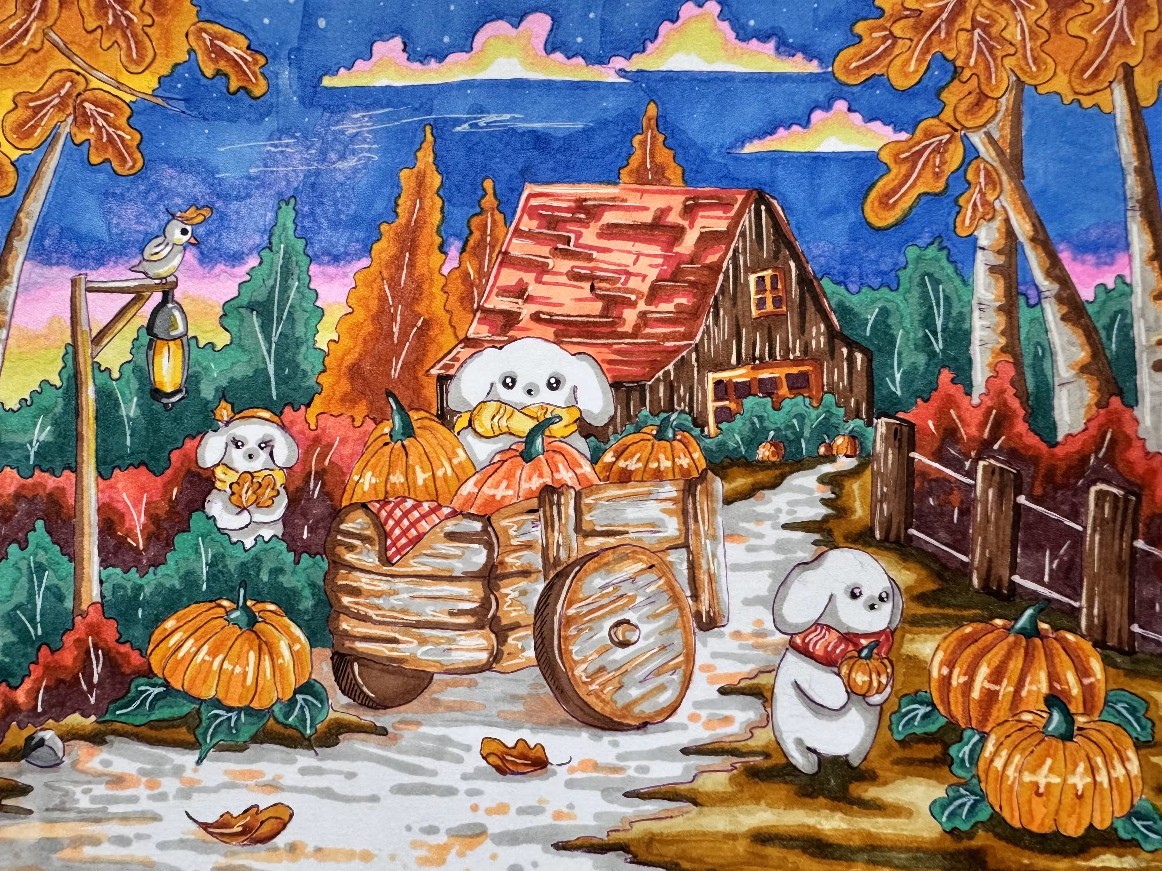 Pumpkin harvest