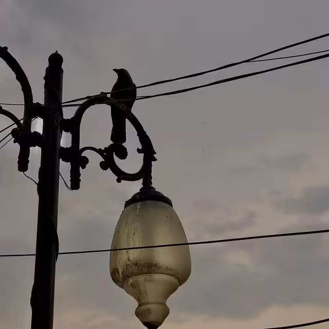 Aerial Watch