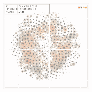 BLK-C3LLS-0017-Rouge-gorge