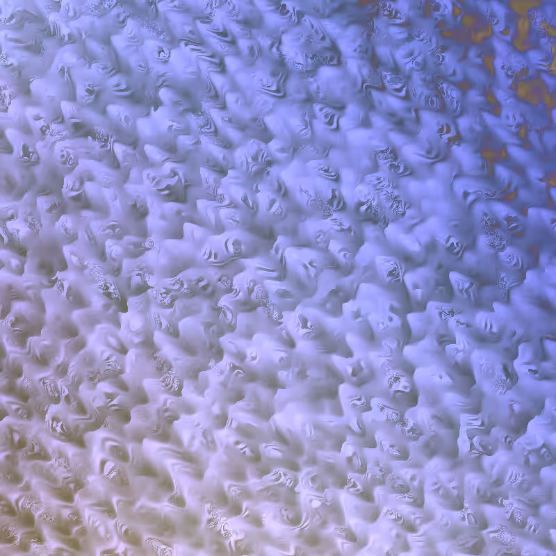 Noise Corals #1