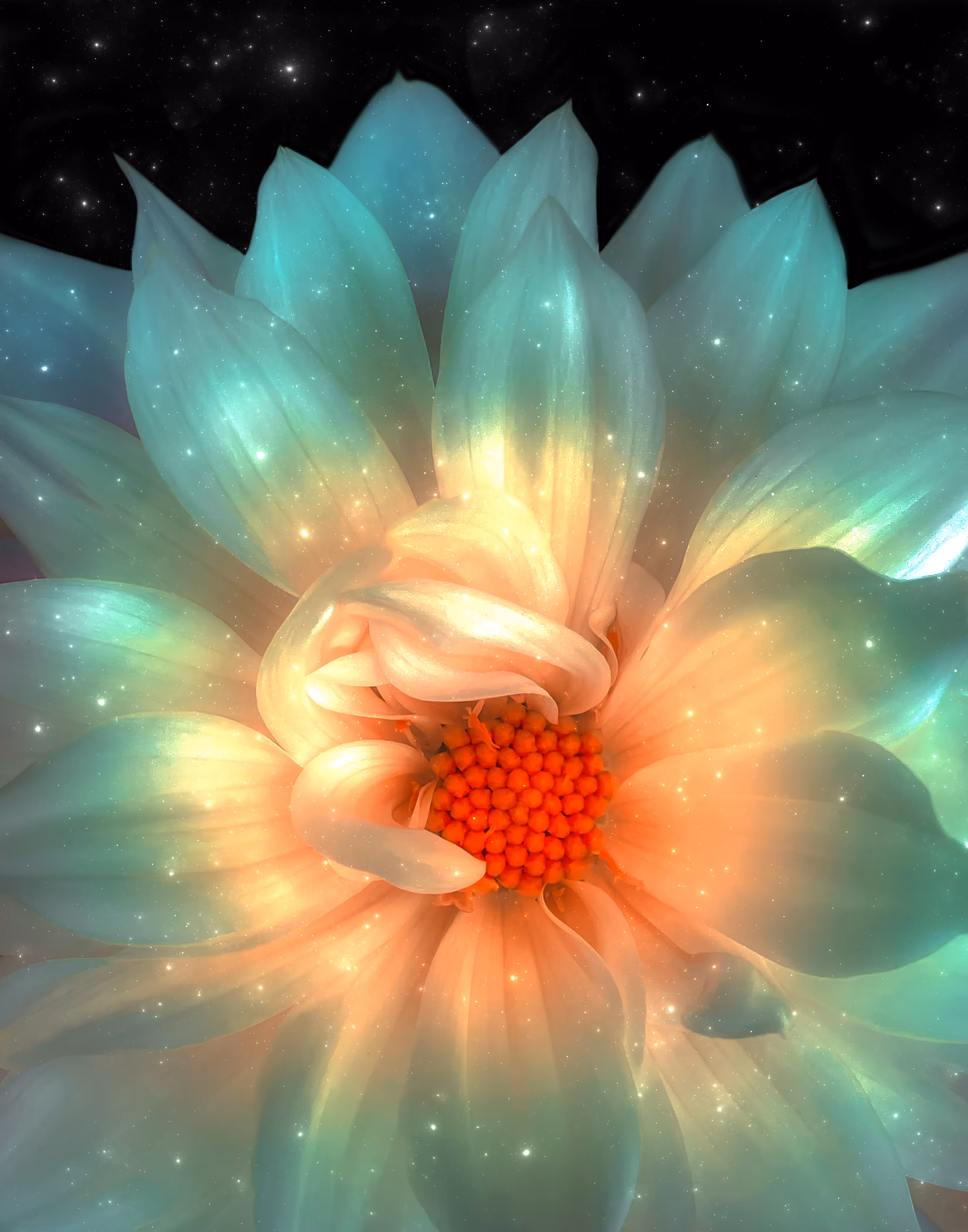 COSMIC BLOOM 03