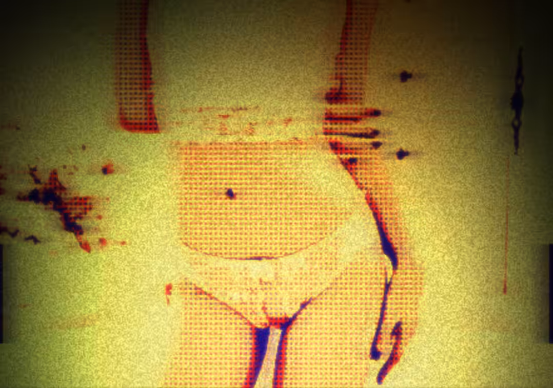 Panties for Satoshi (Thanks Satoshi/Happy Whitepaper)