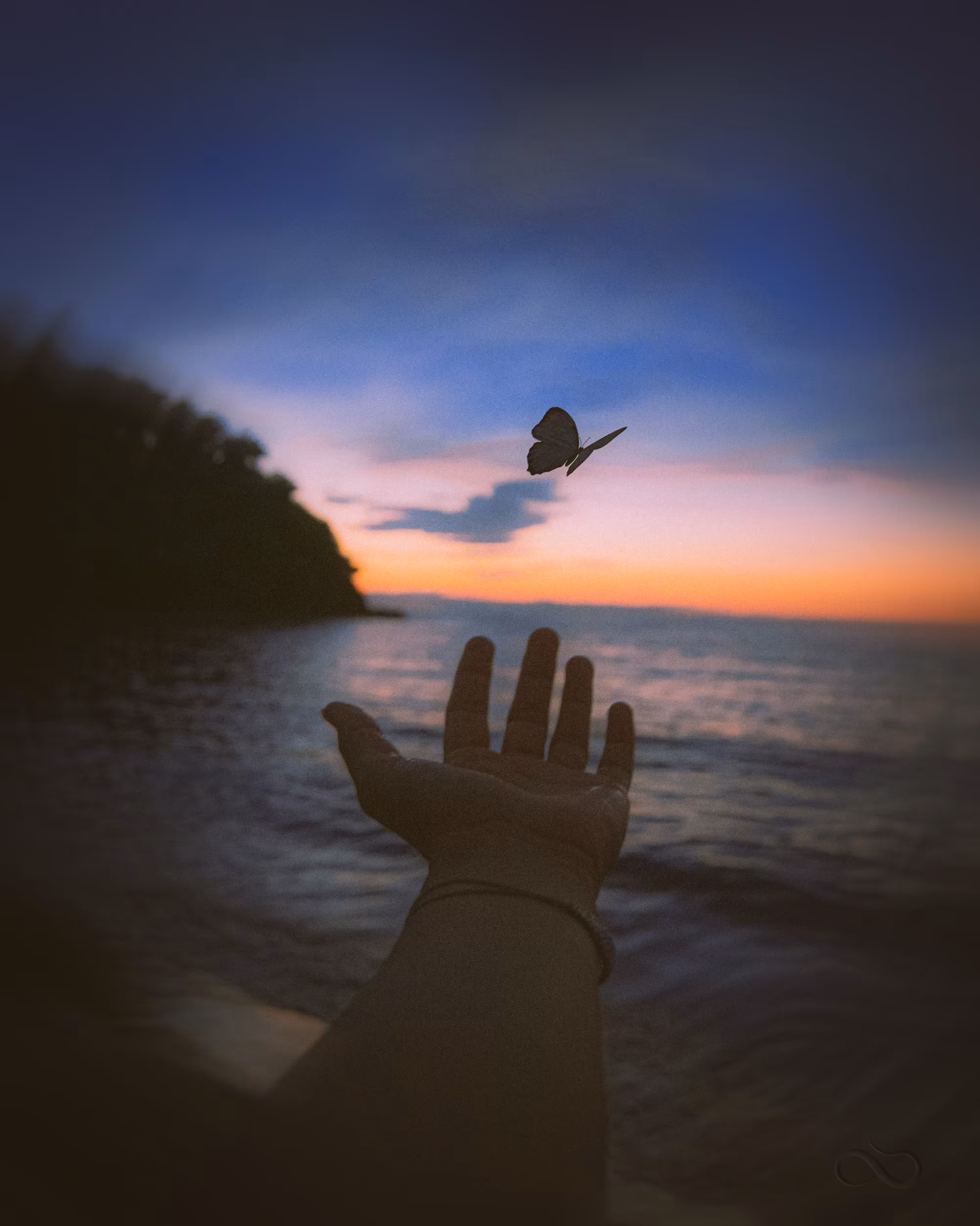 Paradise // Paraíso
