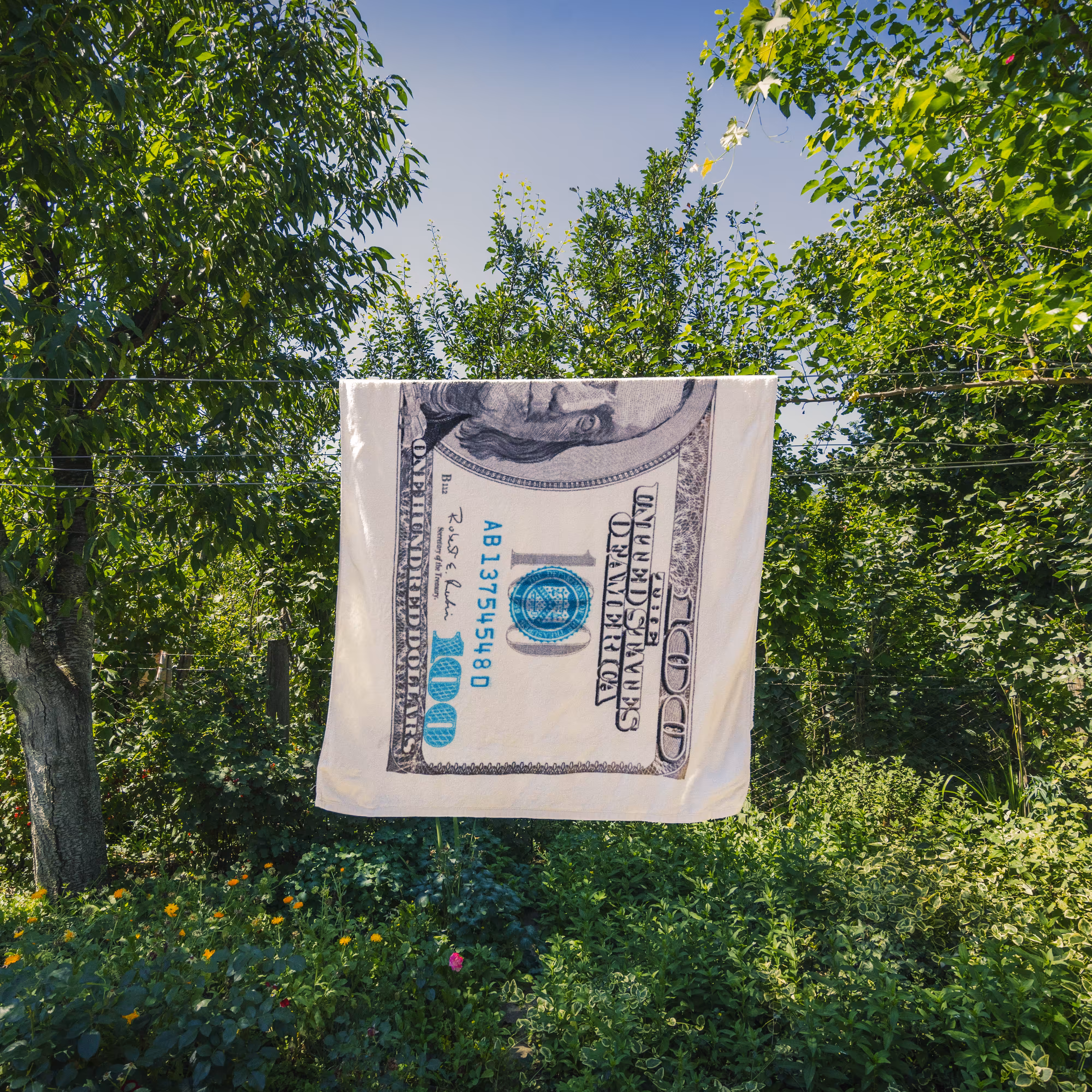 Laundry Day