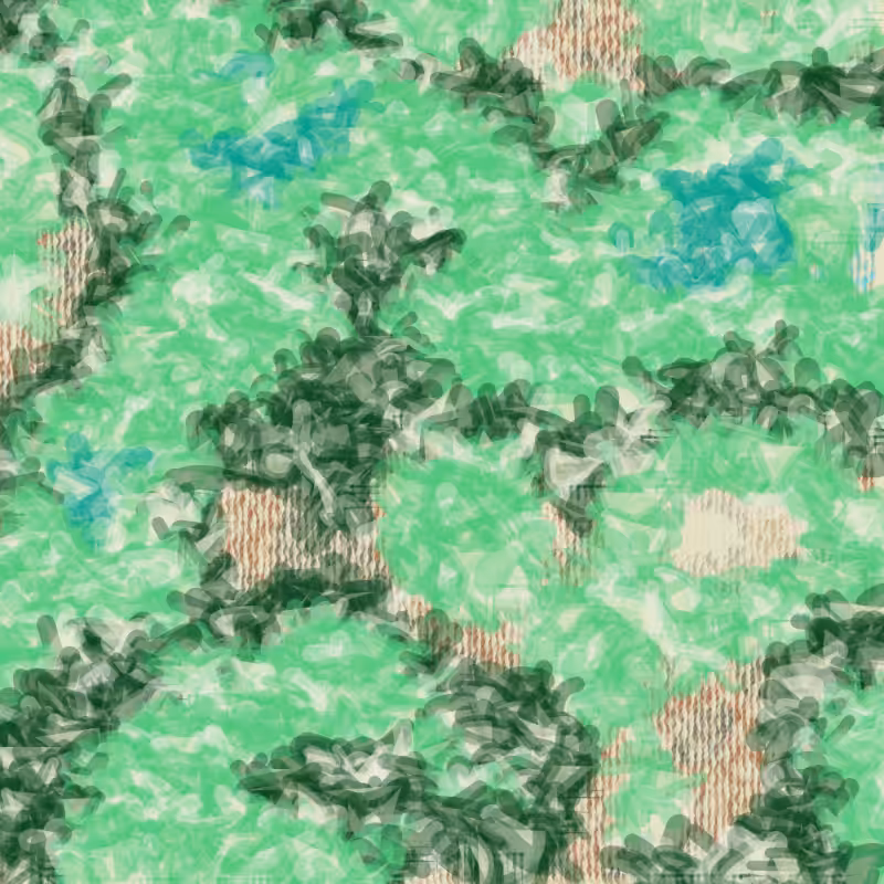Petri 1500 #1073
