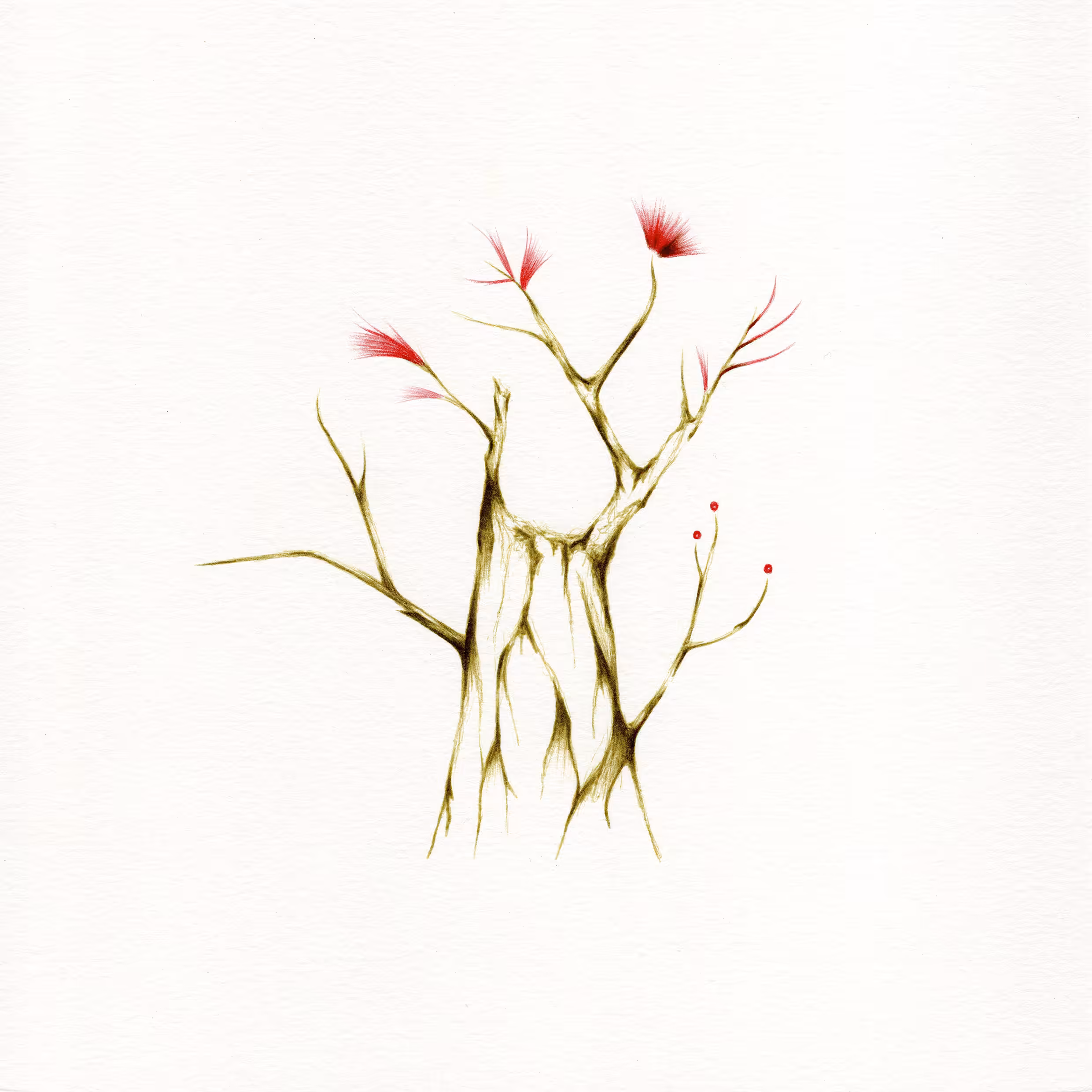 imaginary trees: imaginary tree #9