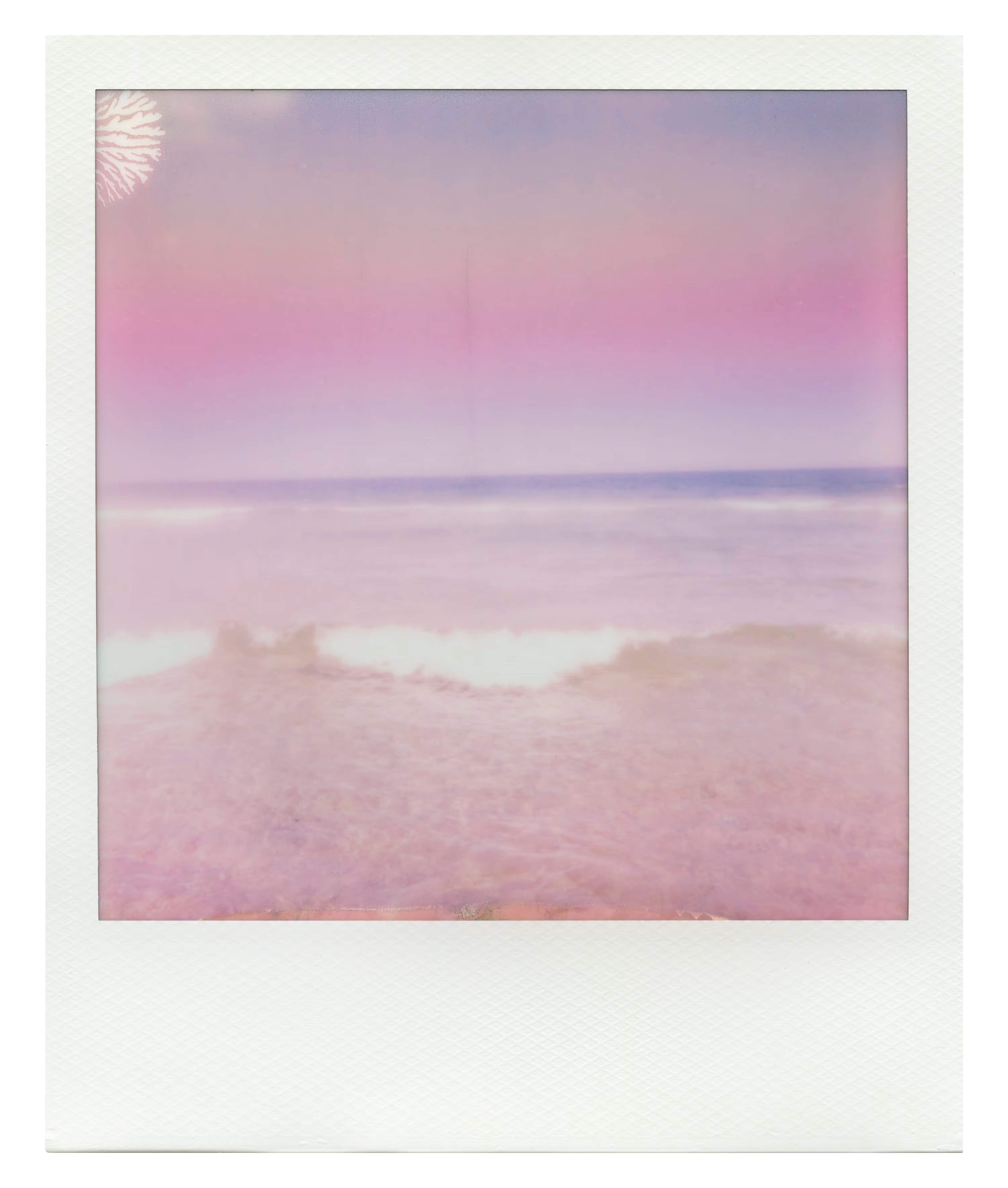 Endless Summer  |  55  | Manifestation