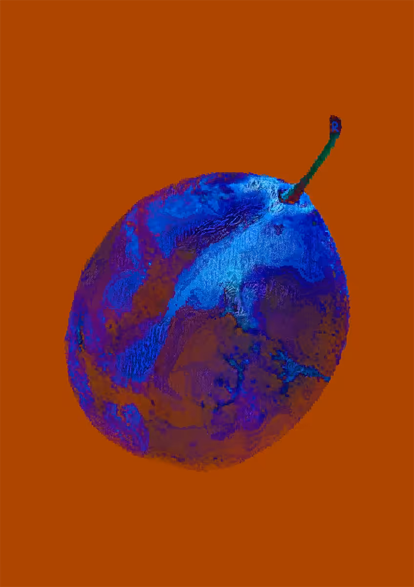 DR0P5 0F L1GH7 4L0NG 7H3 D1G174L P47H: Plum