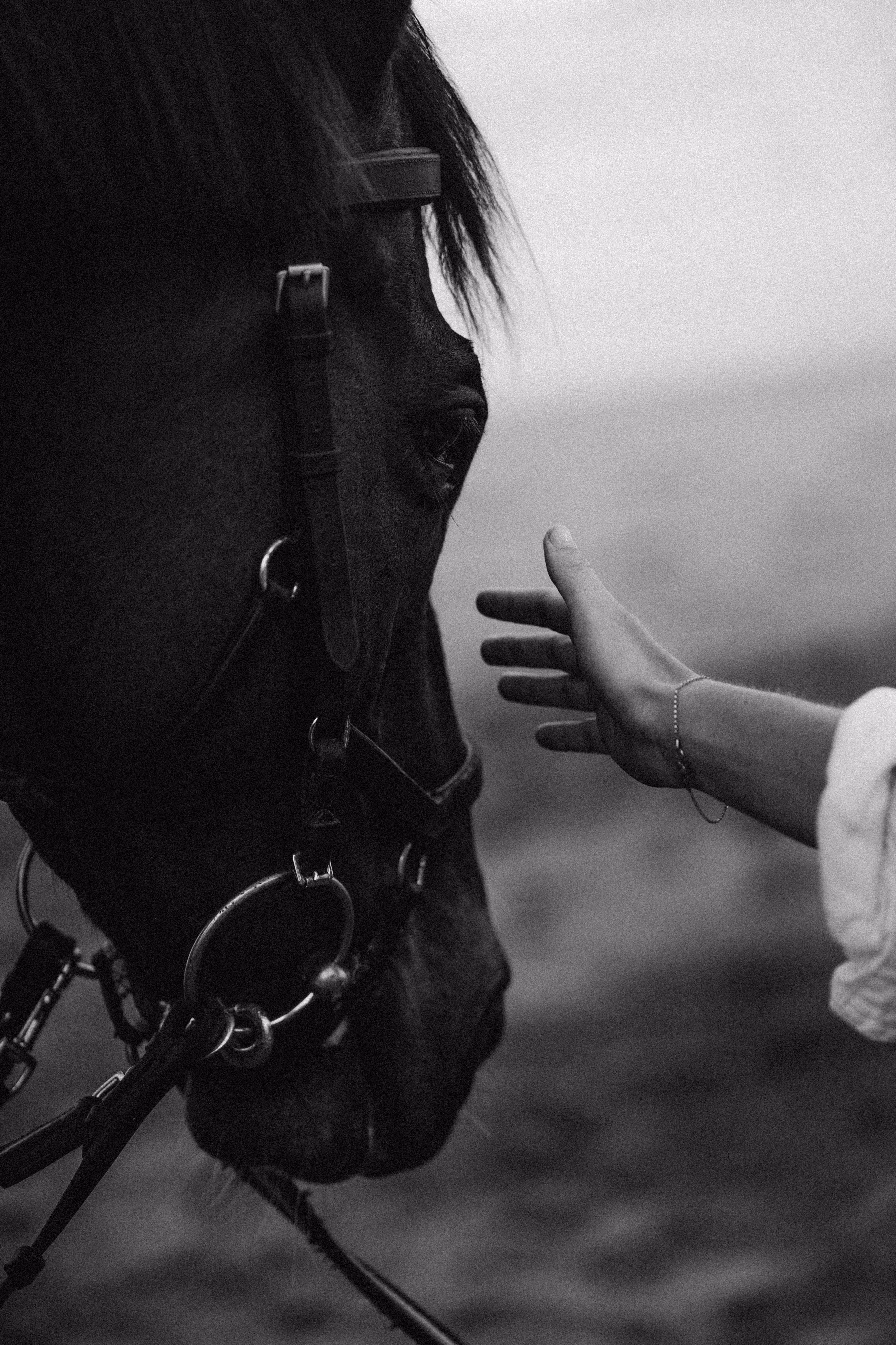 the slightest touch can say a thousand words. 