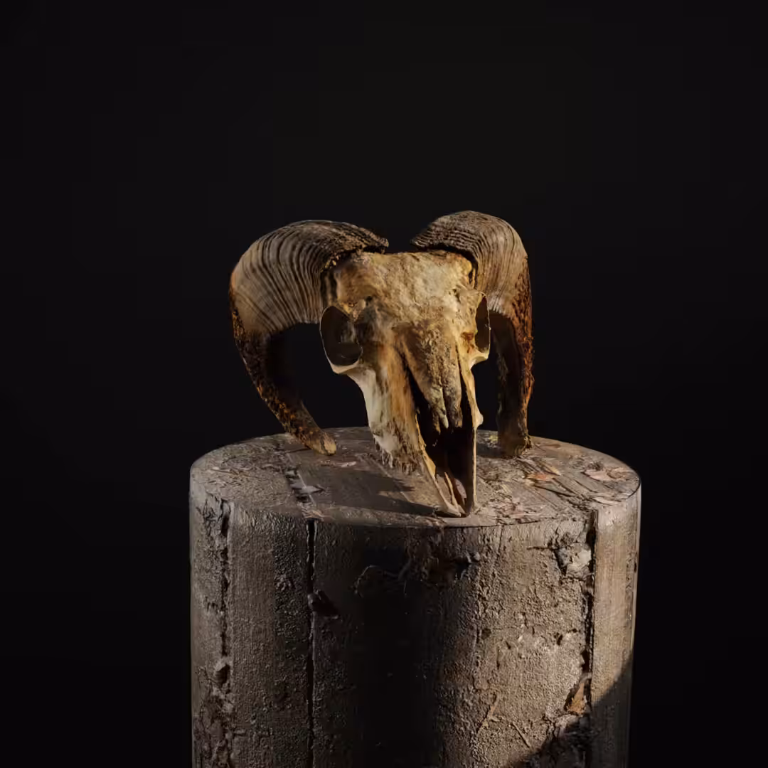 From Death to Life