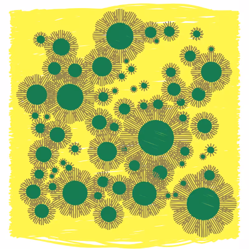 wildflower #12