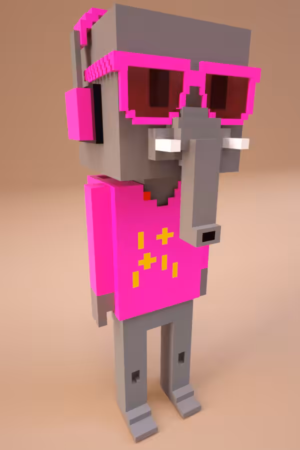 PixelMeebit#2356