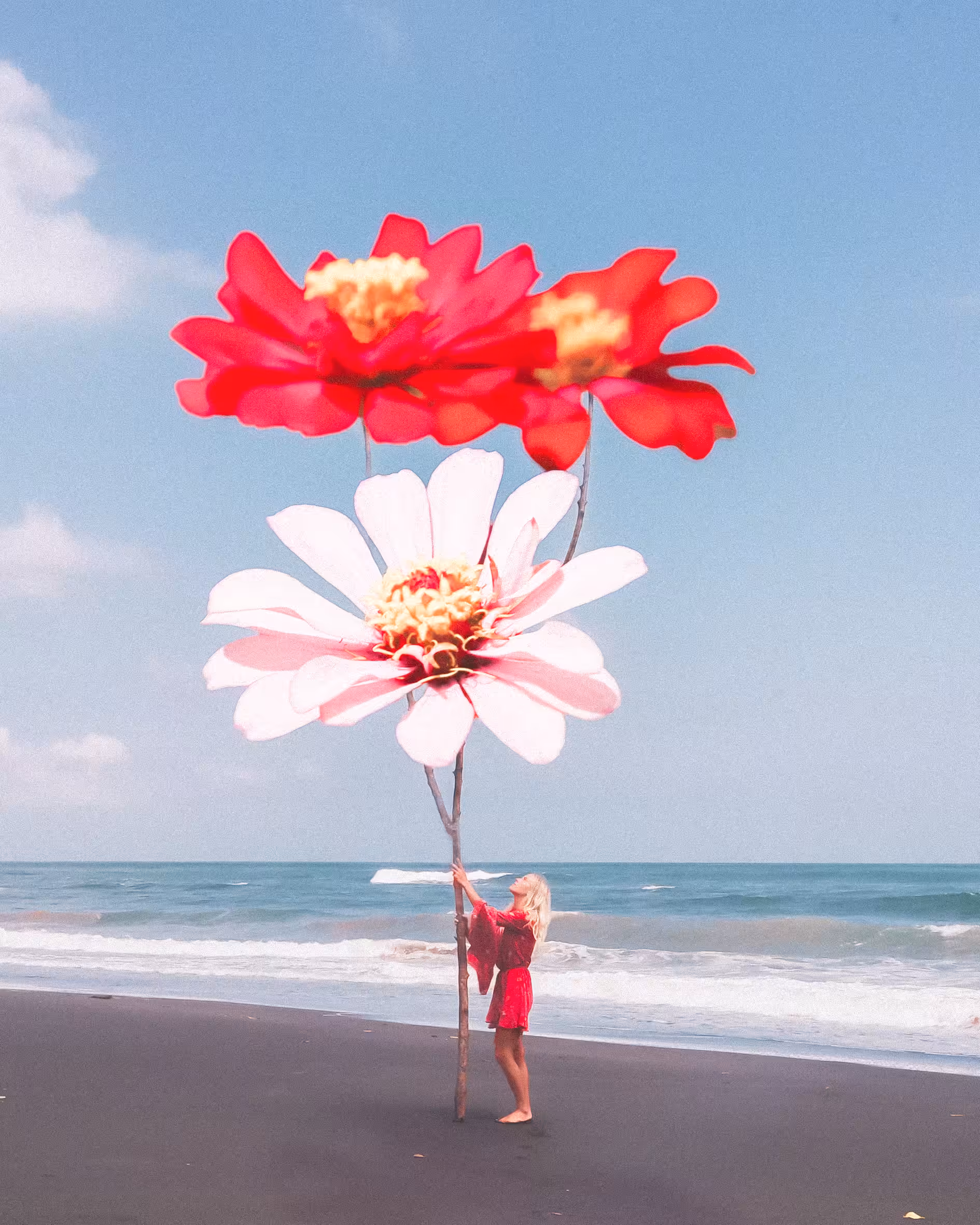 A flower song