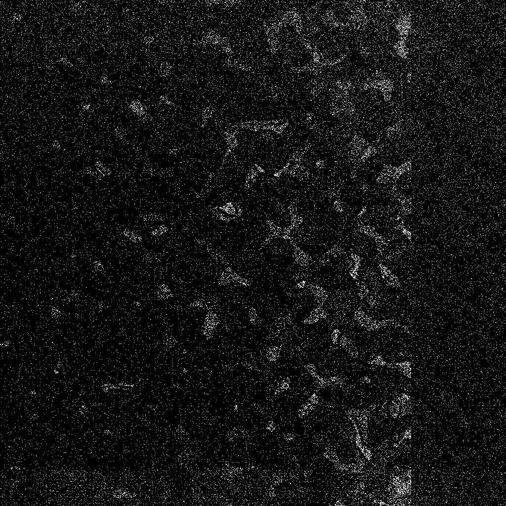 HIDDEN IN NOISE: Noise #204 