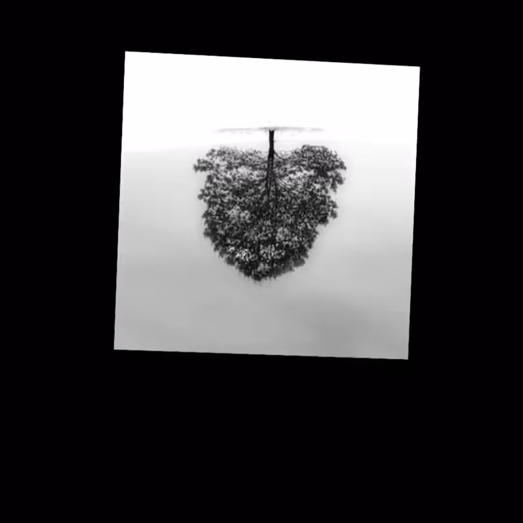 Cube: Tree Cube