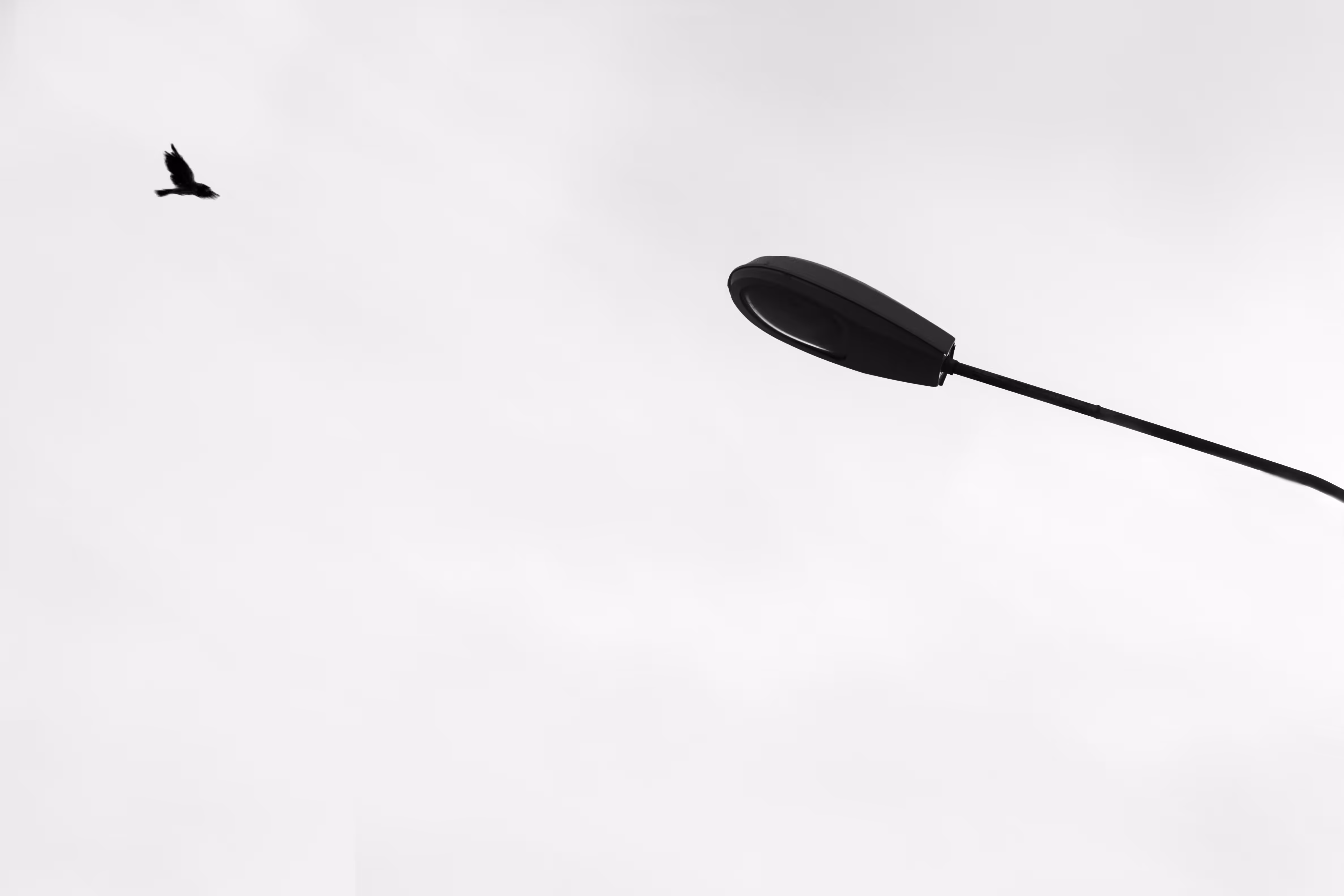 passerby