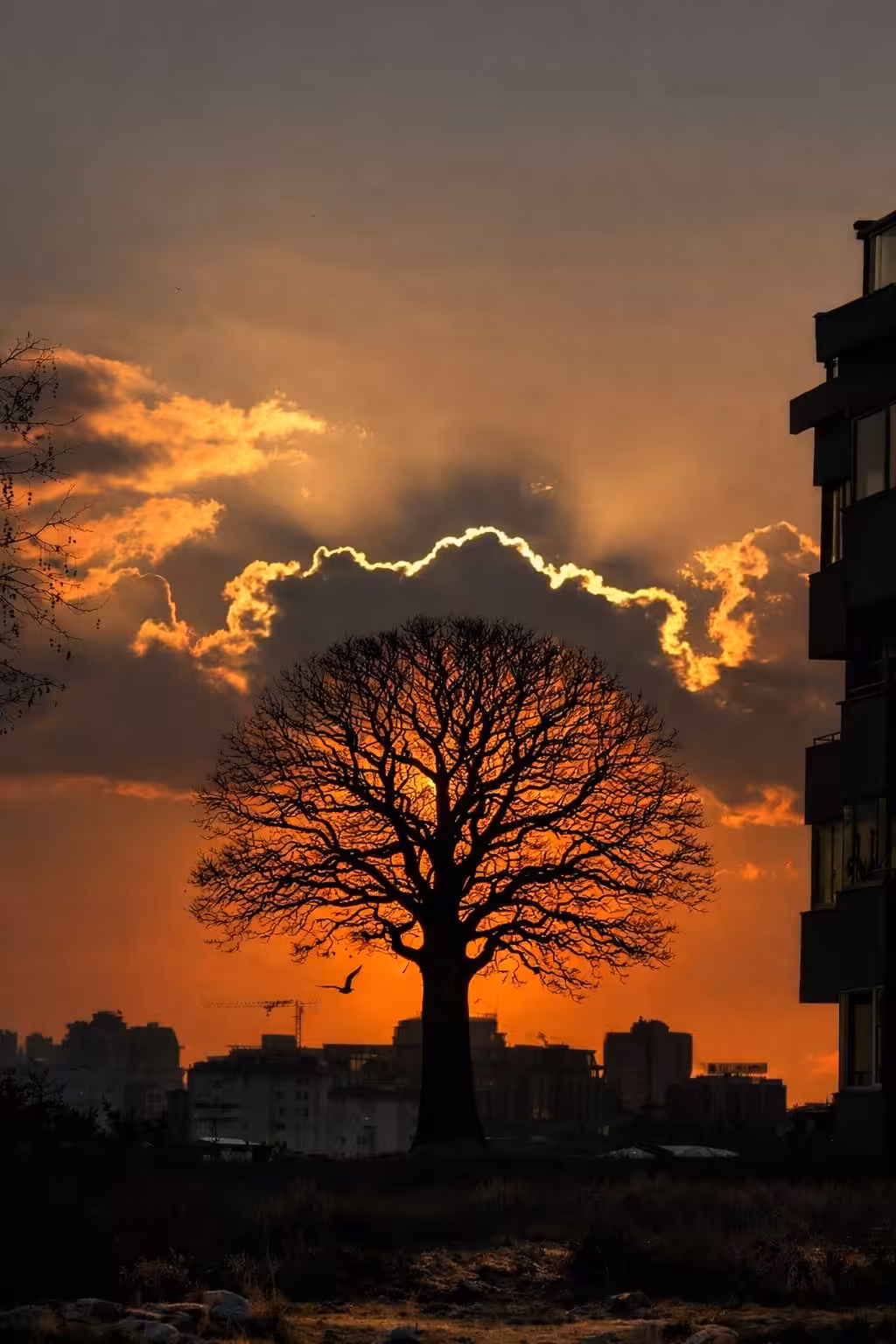 Light Beyond Sight