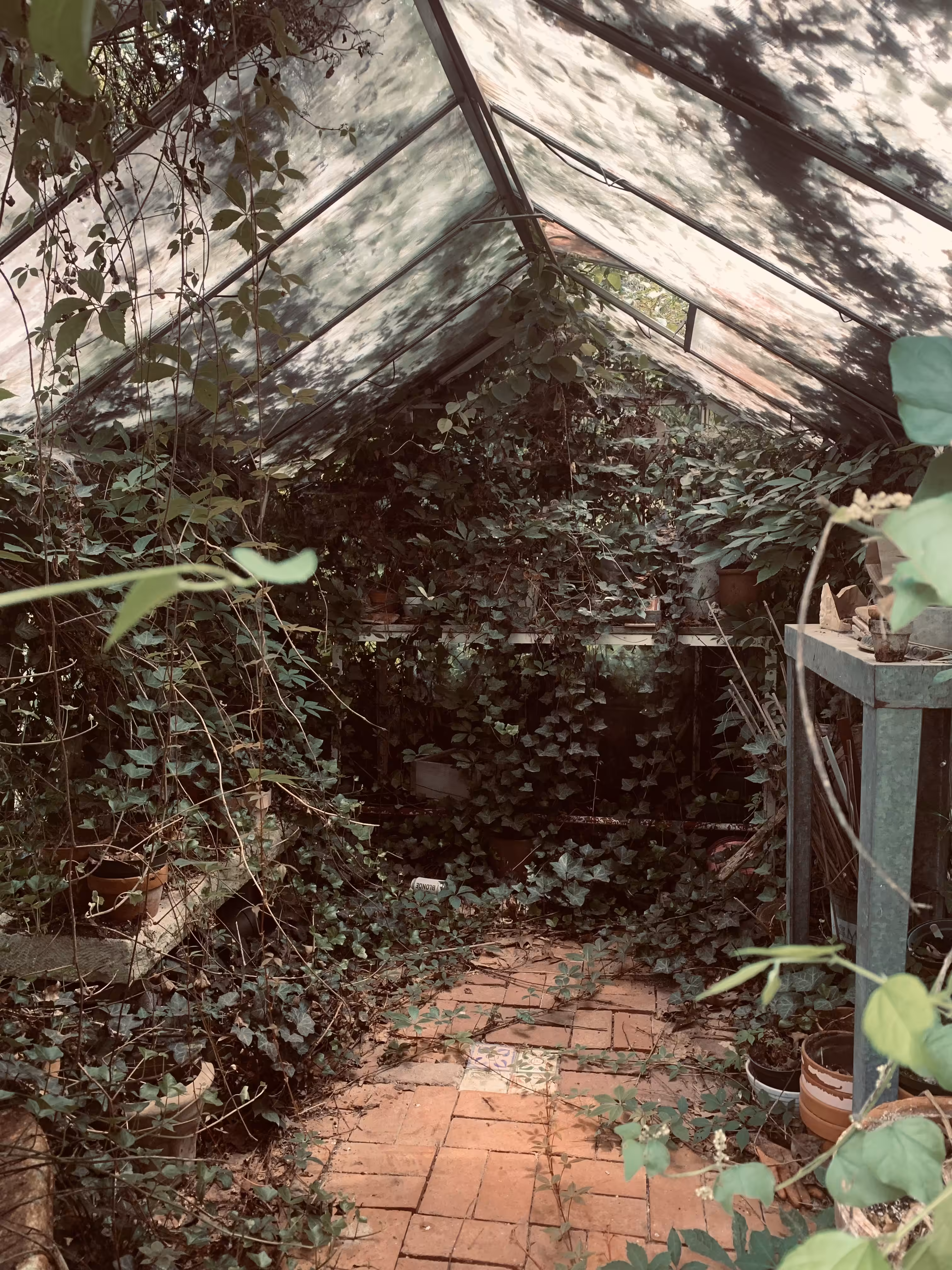 The Pink House: Greenhouse