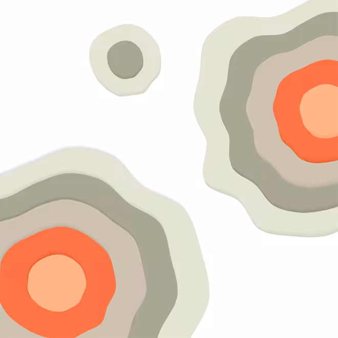 TOPOLOGY LAYERS