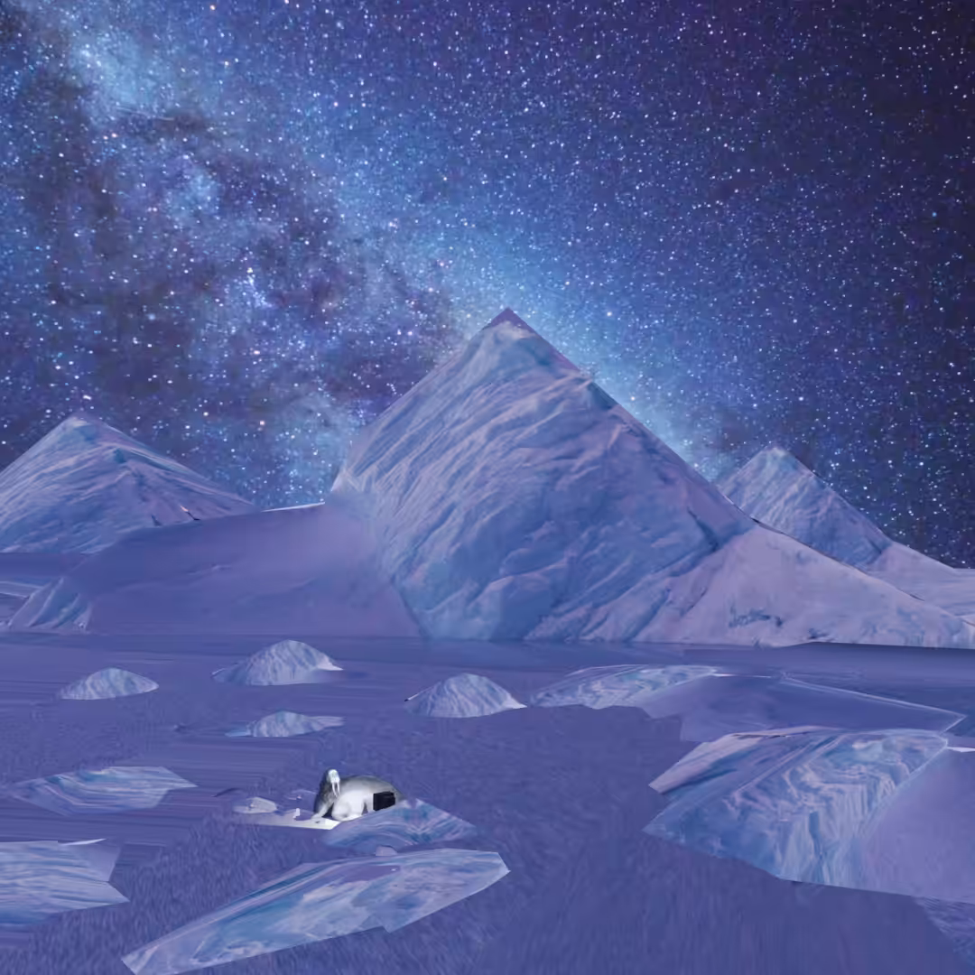 Arctic Walrus on Holiday