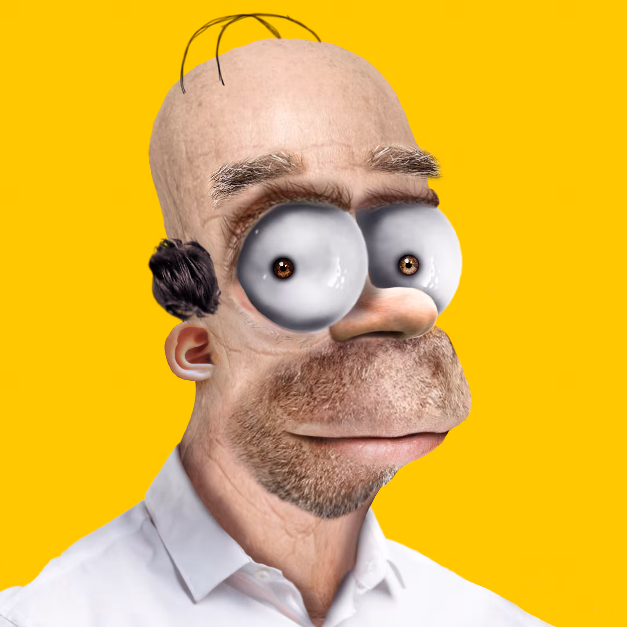 The Homer