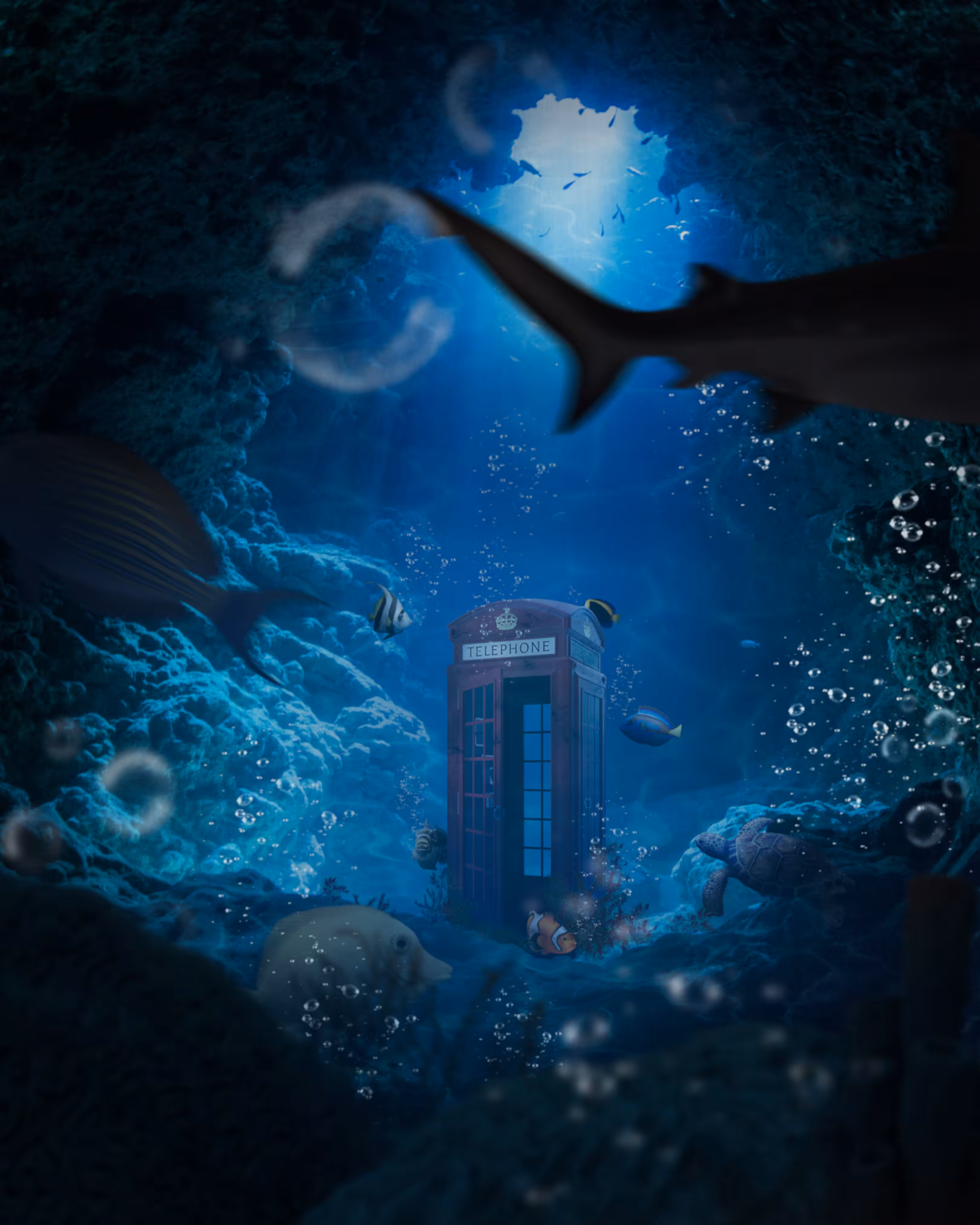 "An underwater call"