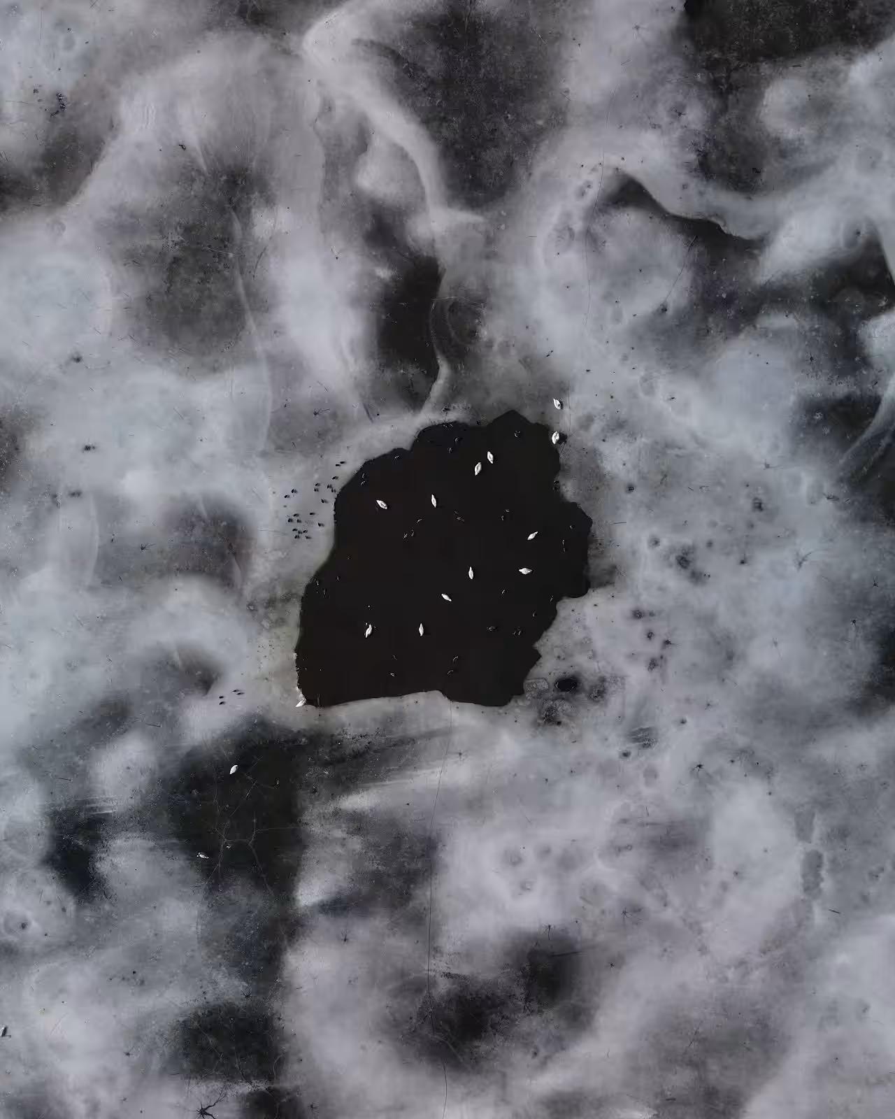 Frozen Dreams #17