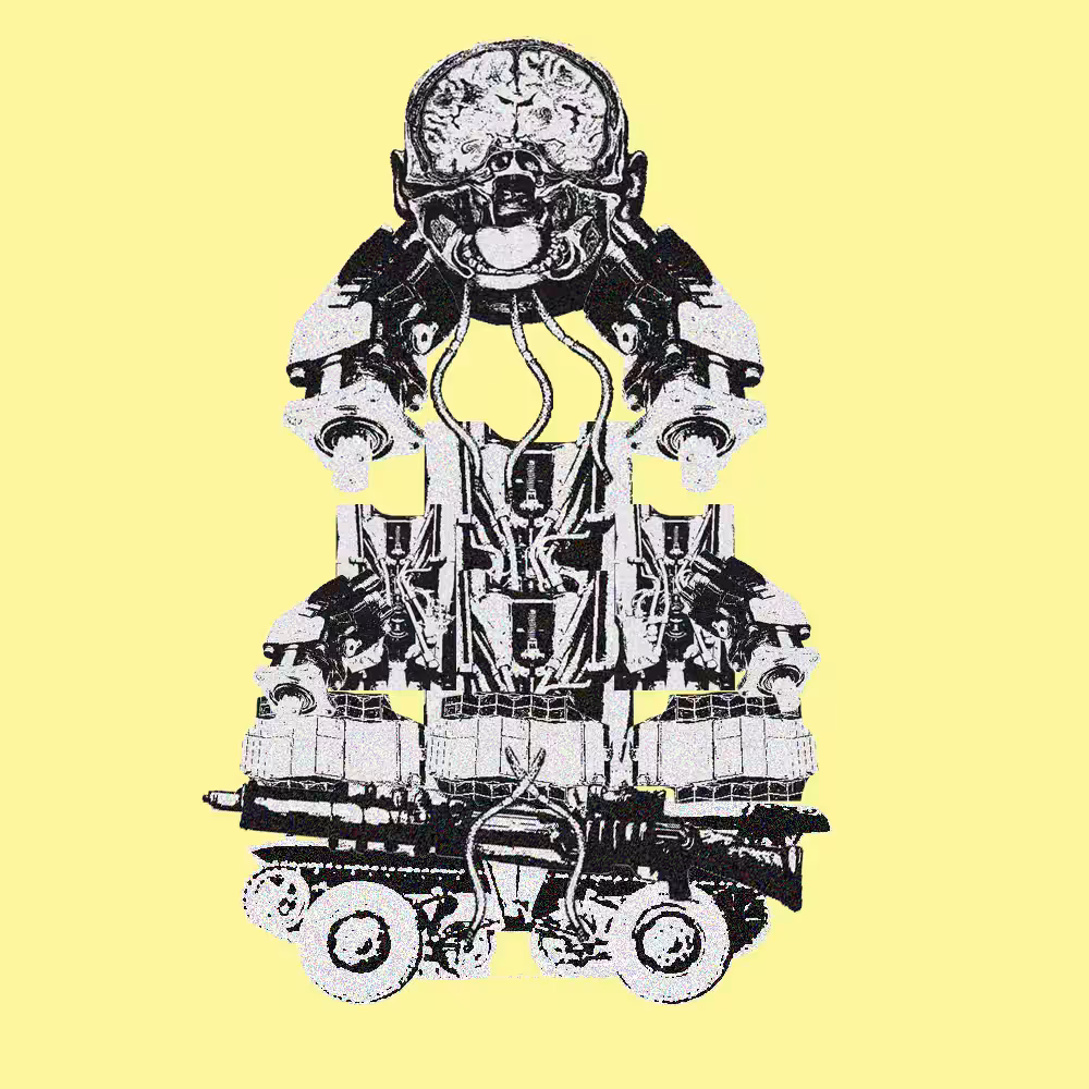Cooracoora #0002
