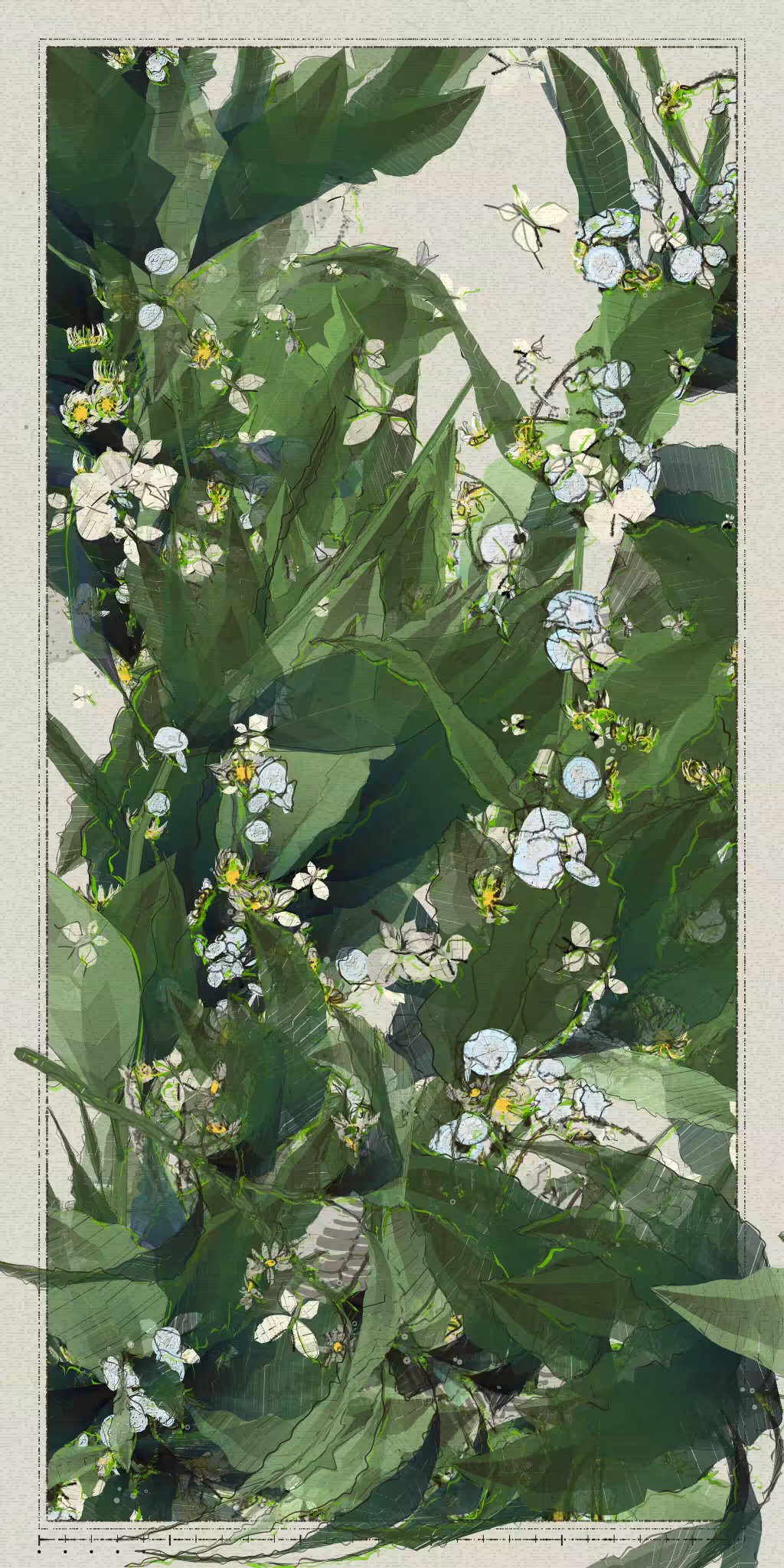 Polypaths | 植徑集 #556