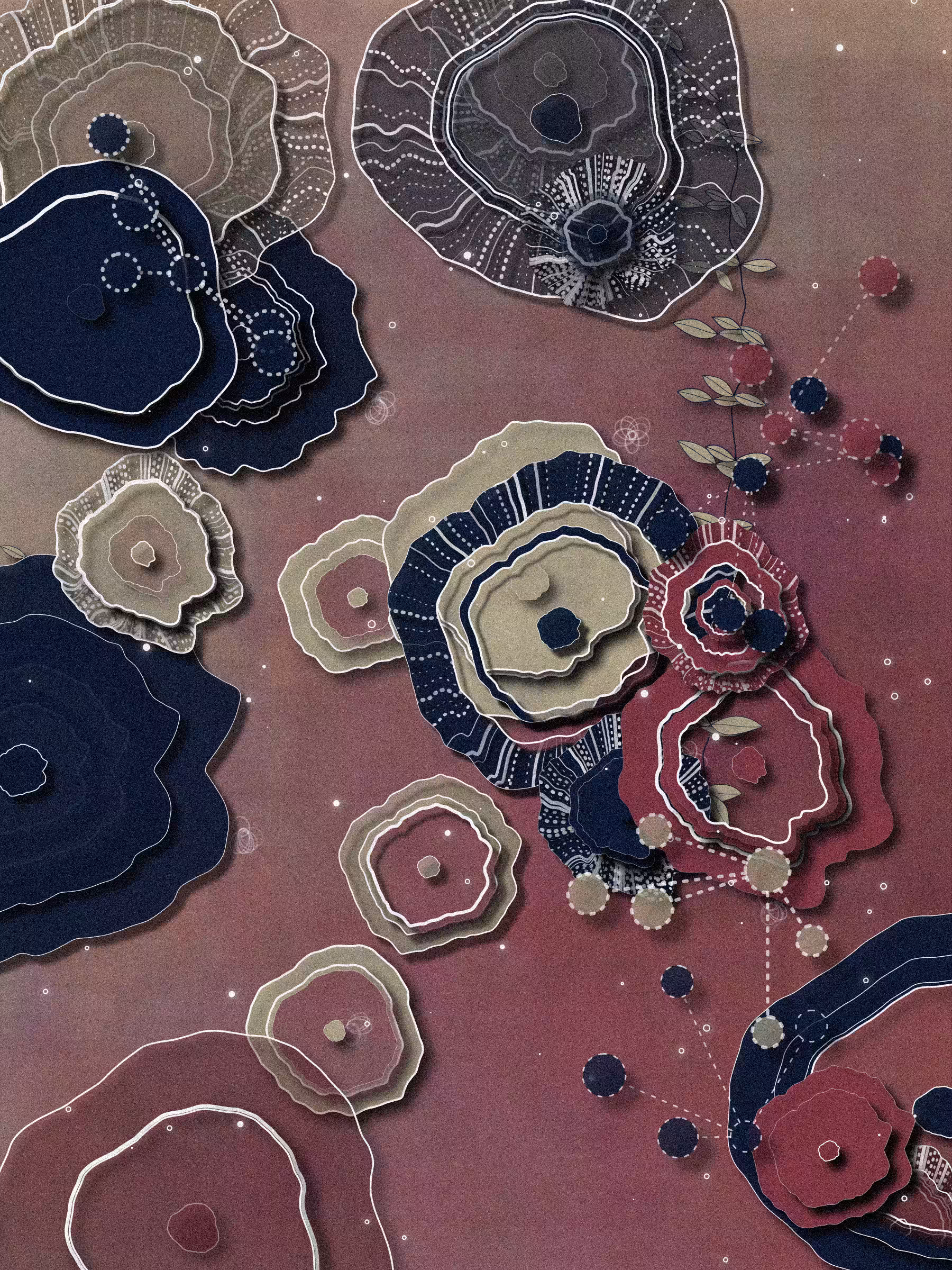 Coral #40