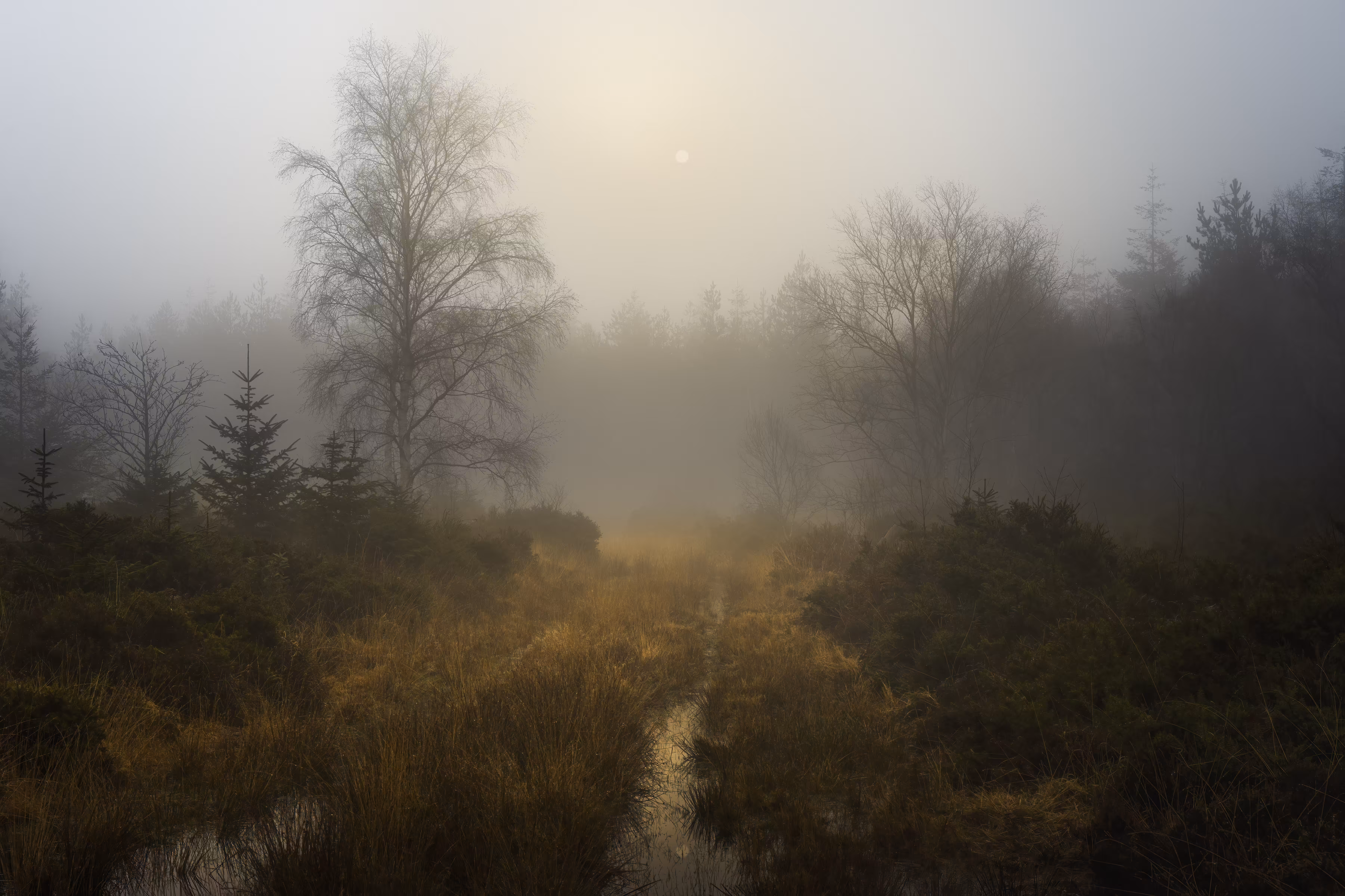 SUNRISE