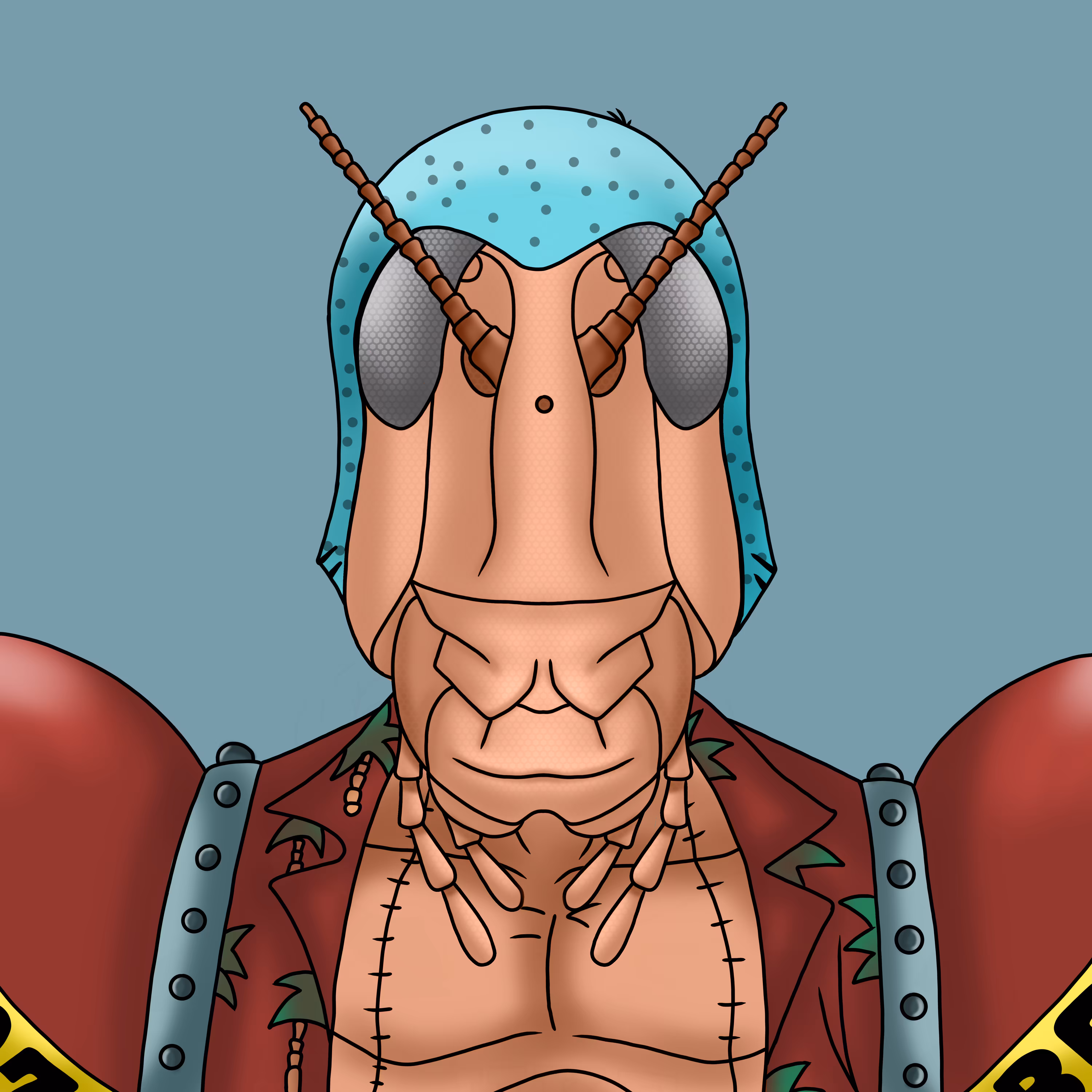 Valanga Franky