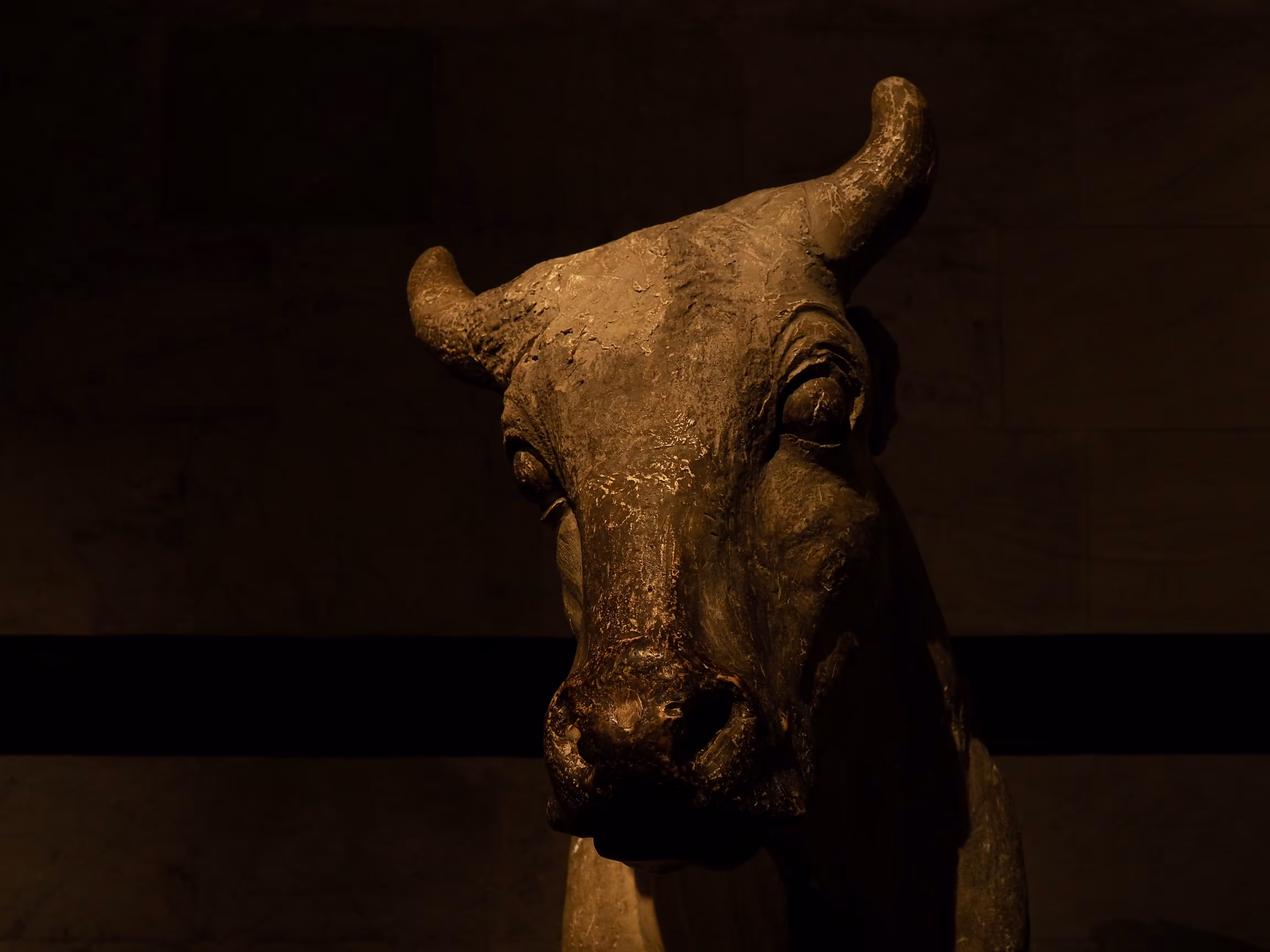 The Bull Of Florence