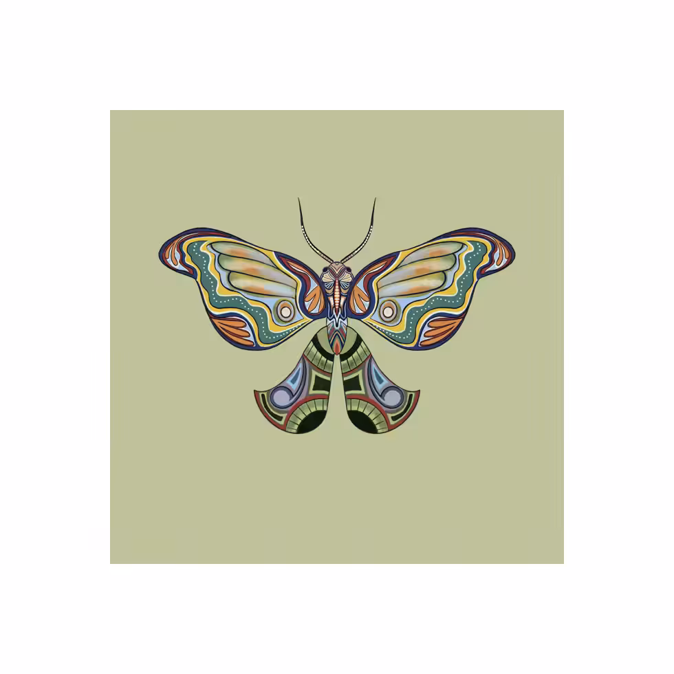 The Moth Experiment  #35