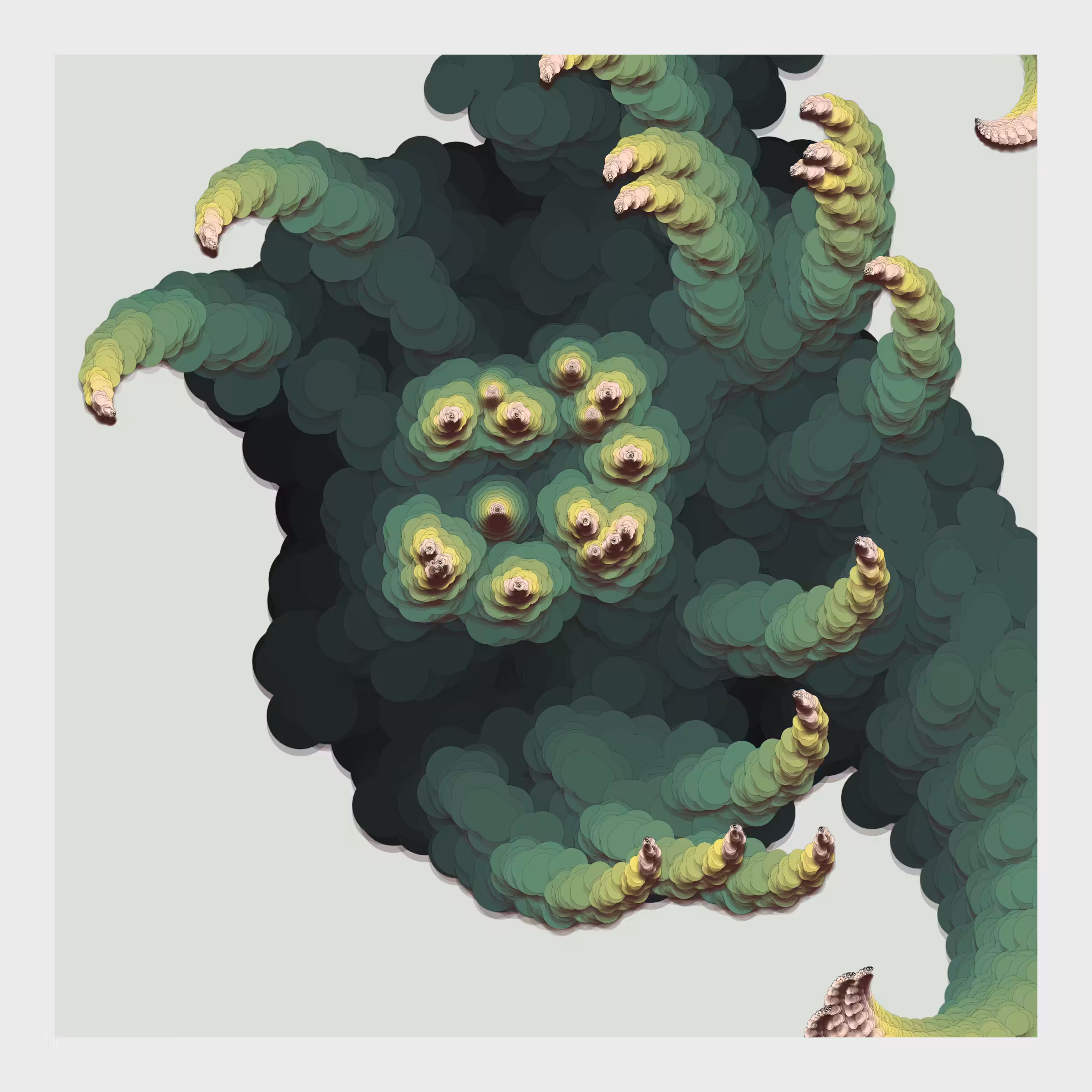 Octo Garden #52