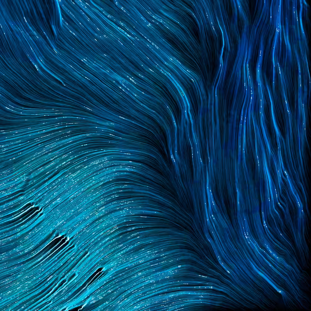 BLUE DECISION