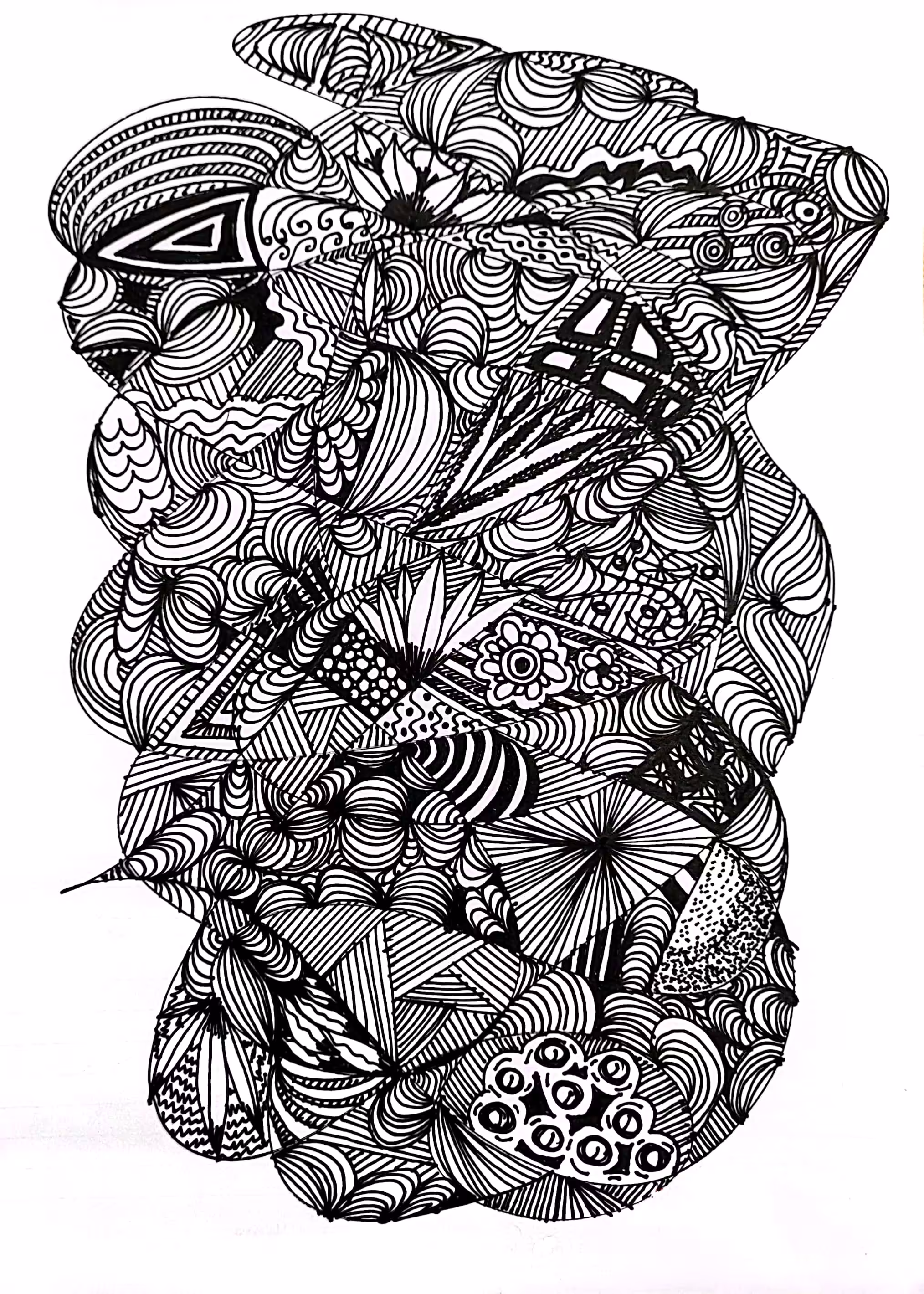 The Hidden Beauty