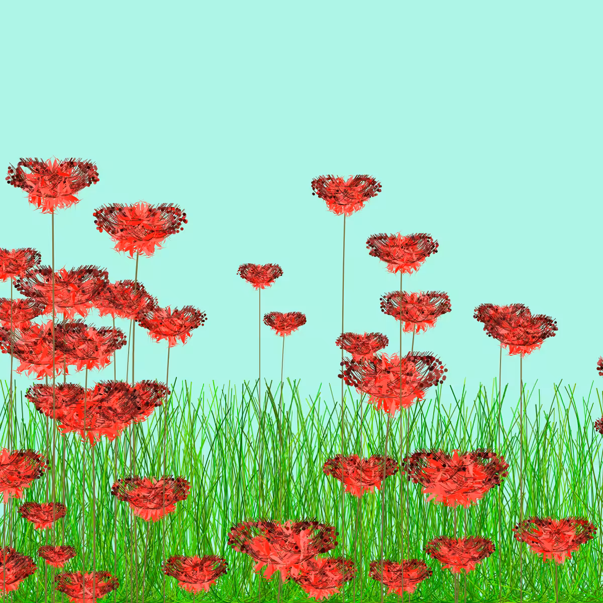 Wildflowers #1
