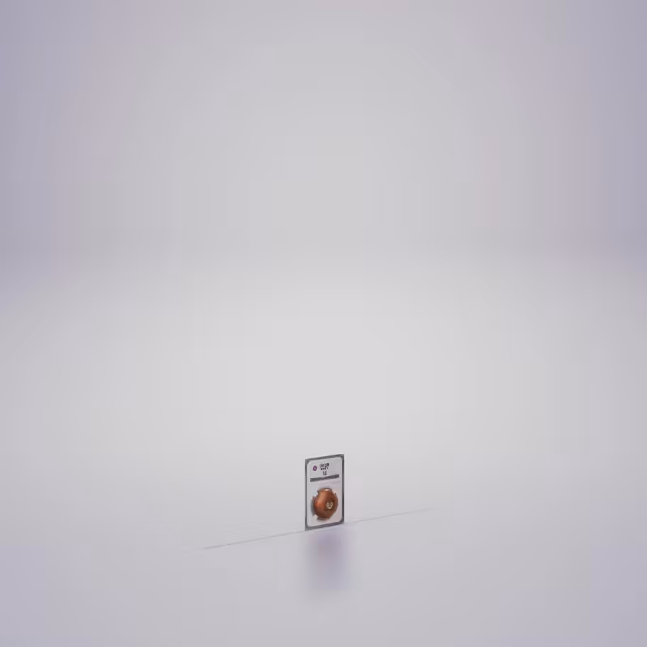 SHITCOIN