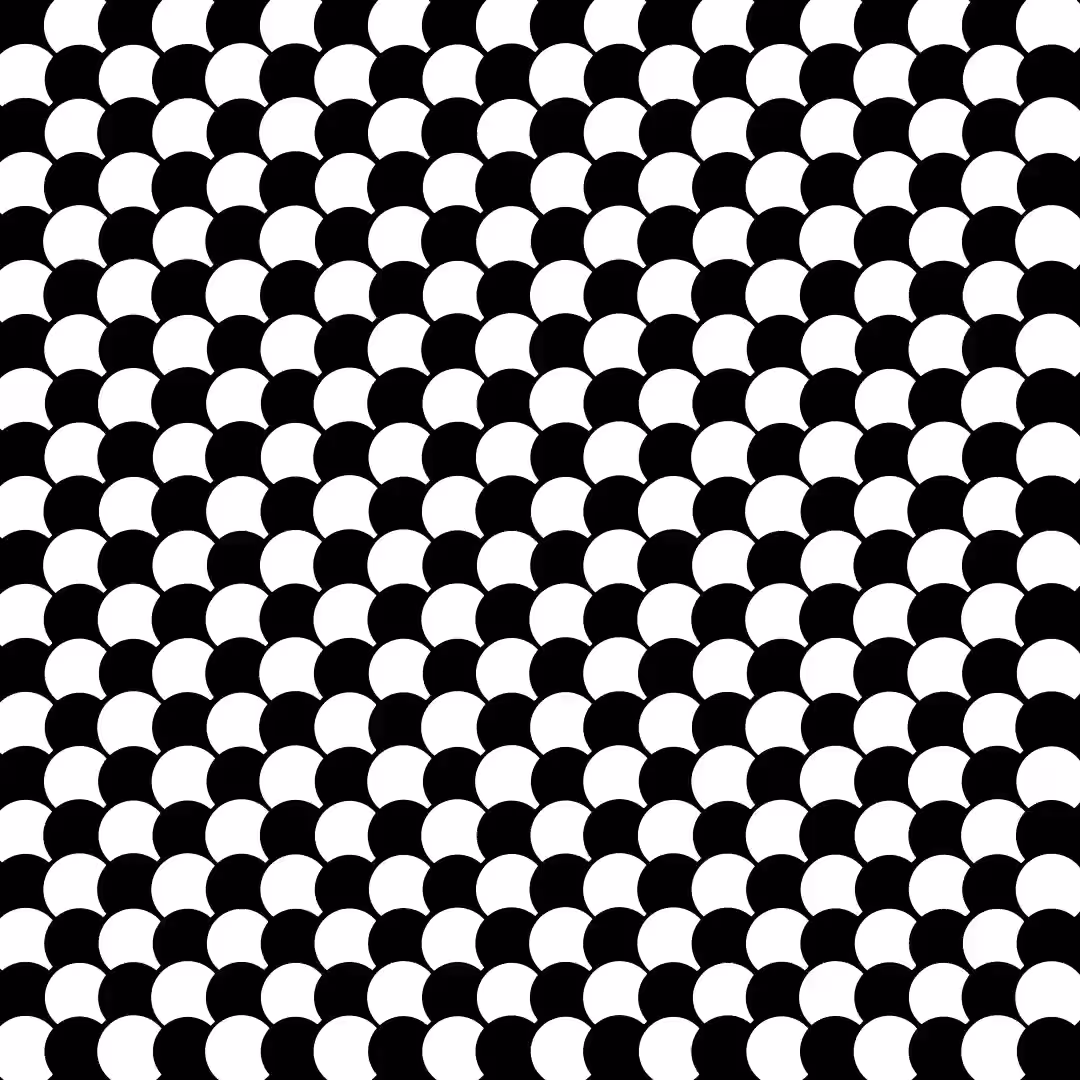 Circle Grid Animation 2